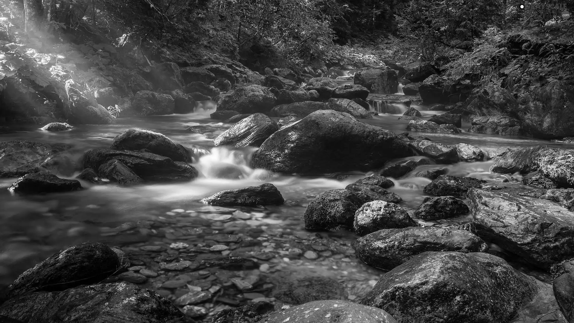 stream, light breaking through sky, Stones, River, forest