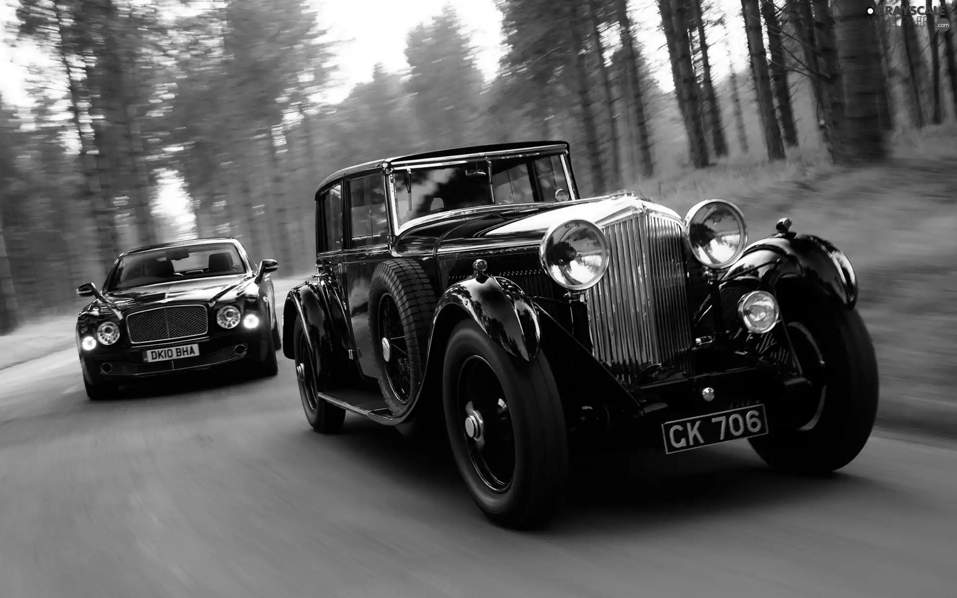 Two cars, cars, forest, Black