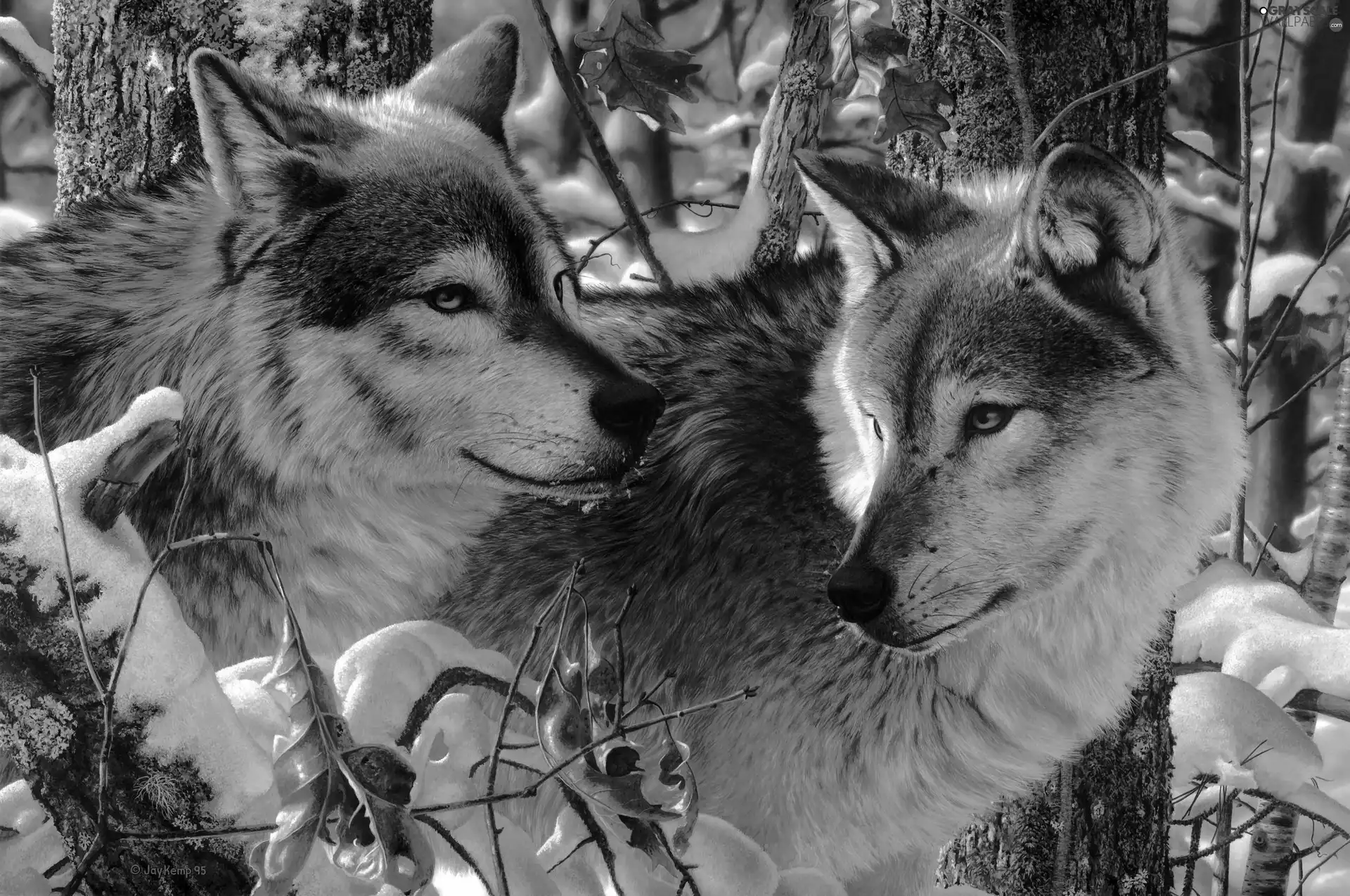 Two cars, winter, forest, wolves