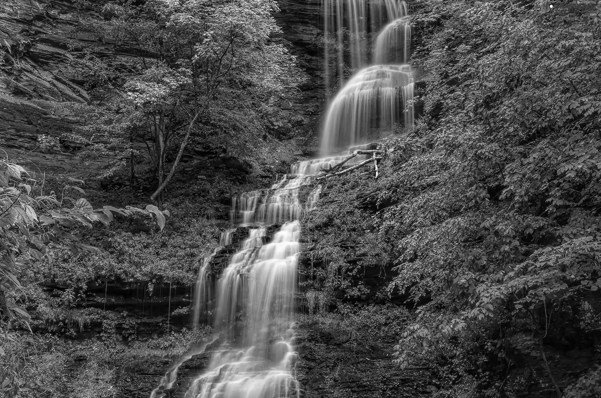 forest, waterfall, cascade