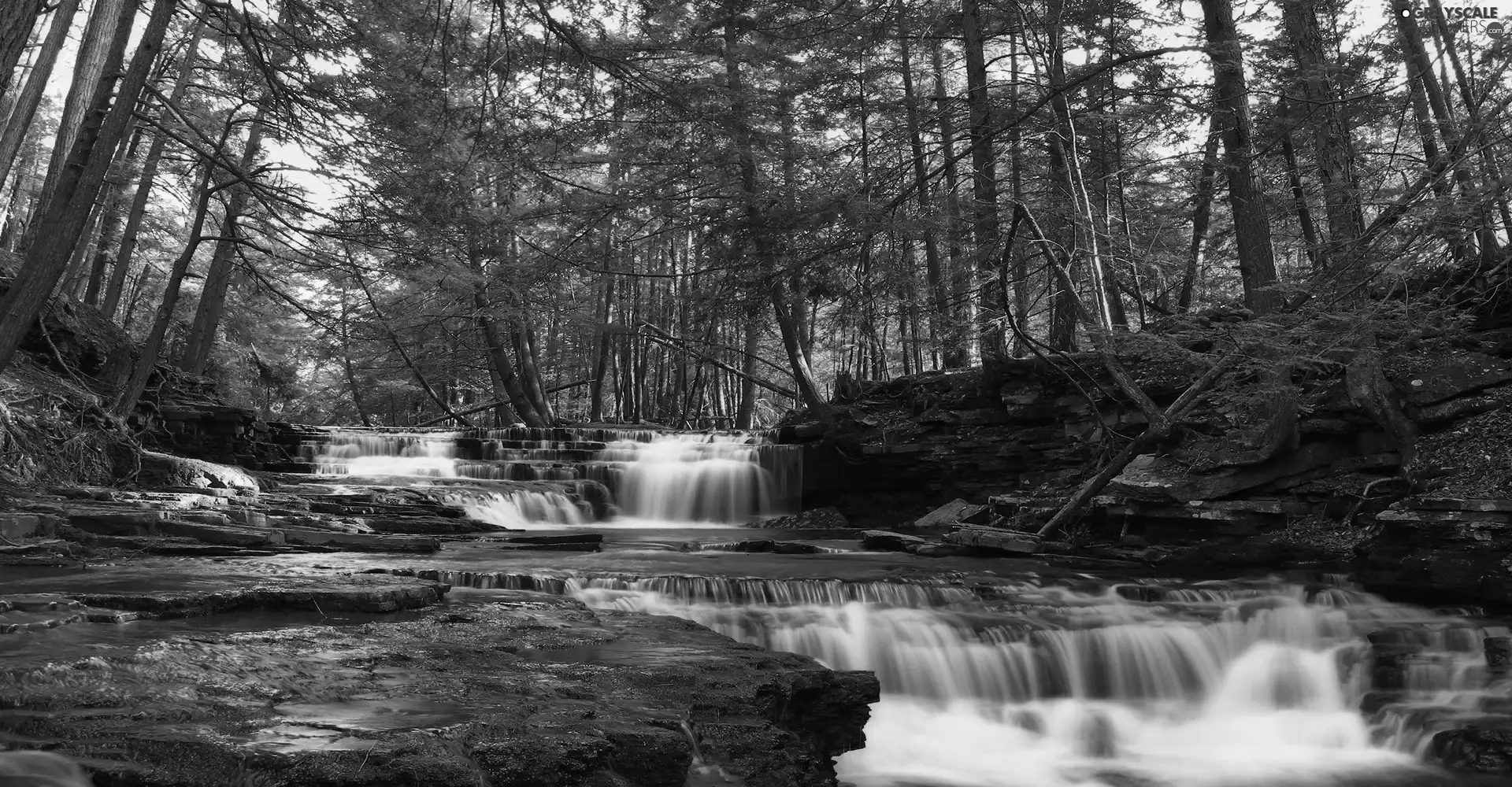 forest, waterfall, cascade