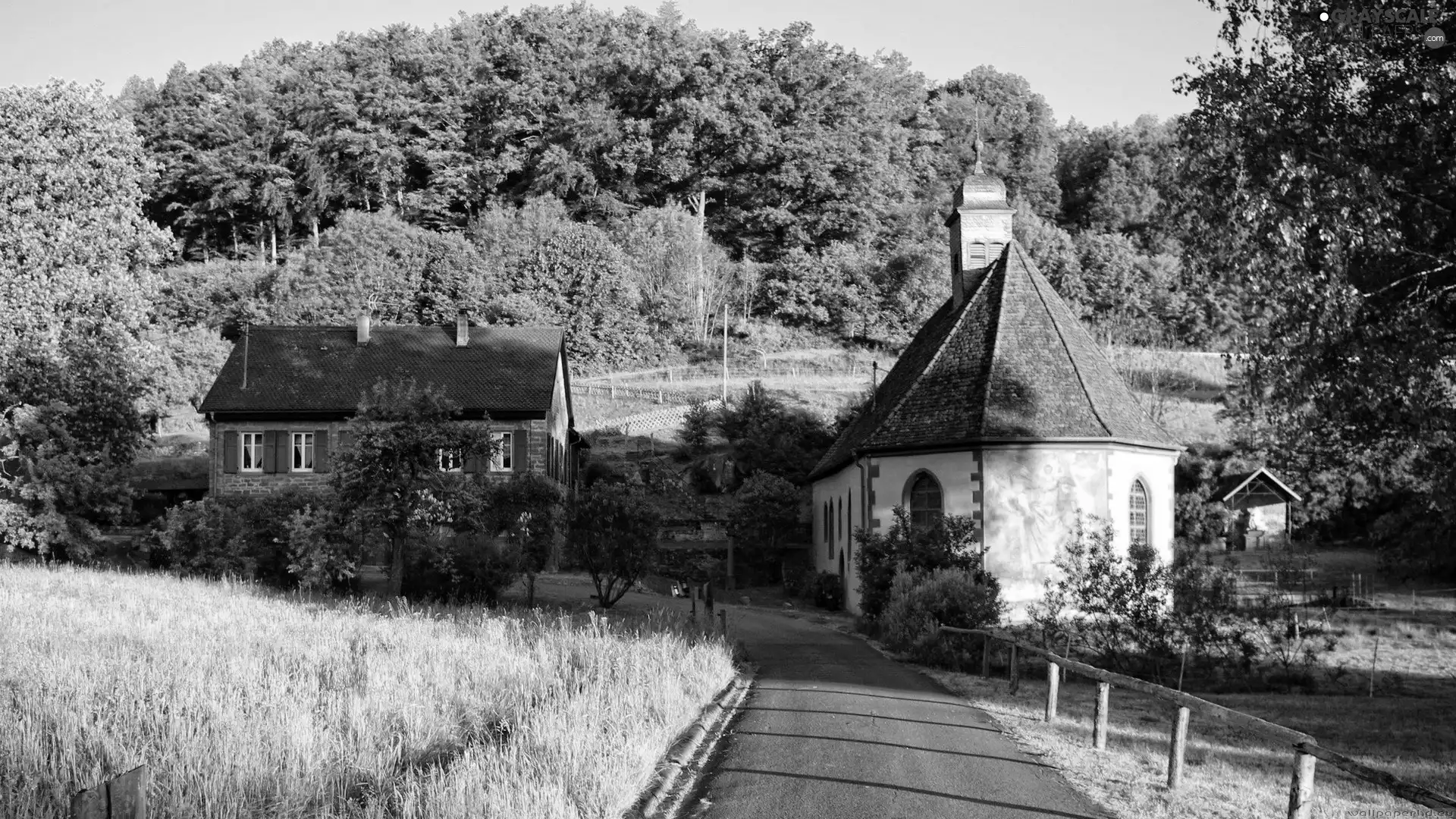 Church, Way, forest, house