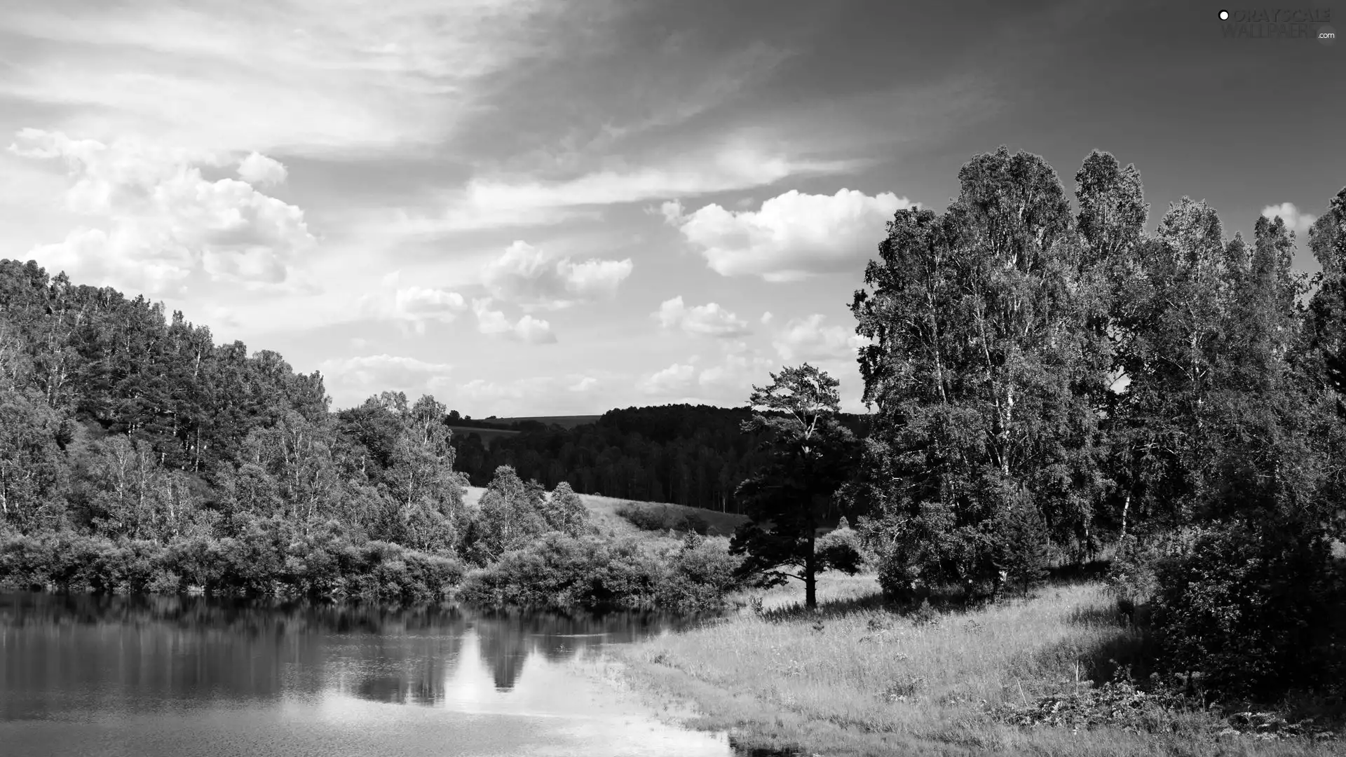 forest, clouds, blue, Sky, lake
