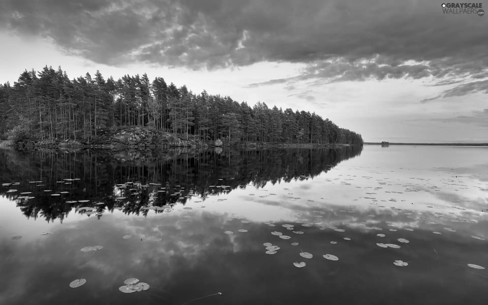 Clouds, lake, forest, Sky