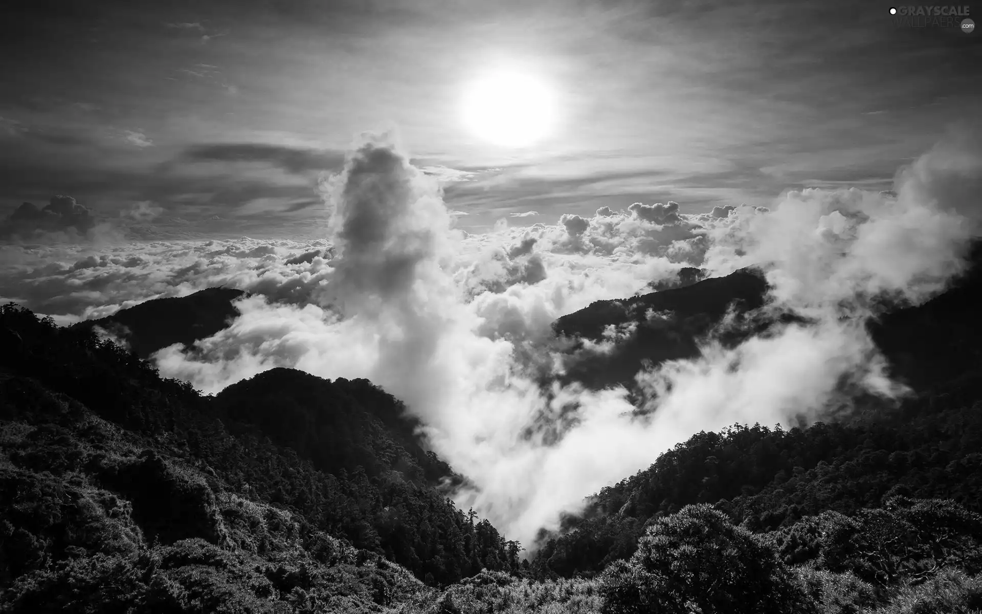 forest, Mountains, clouds