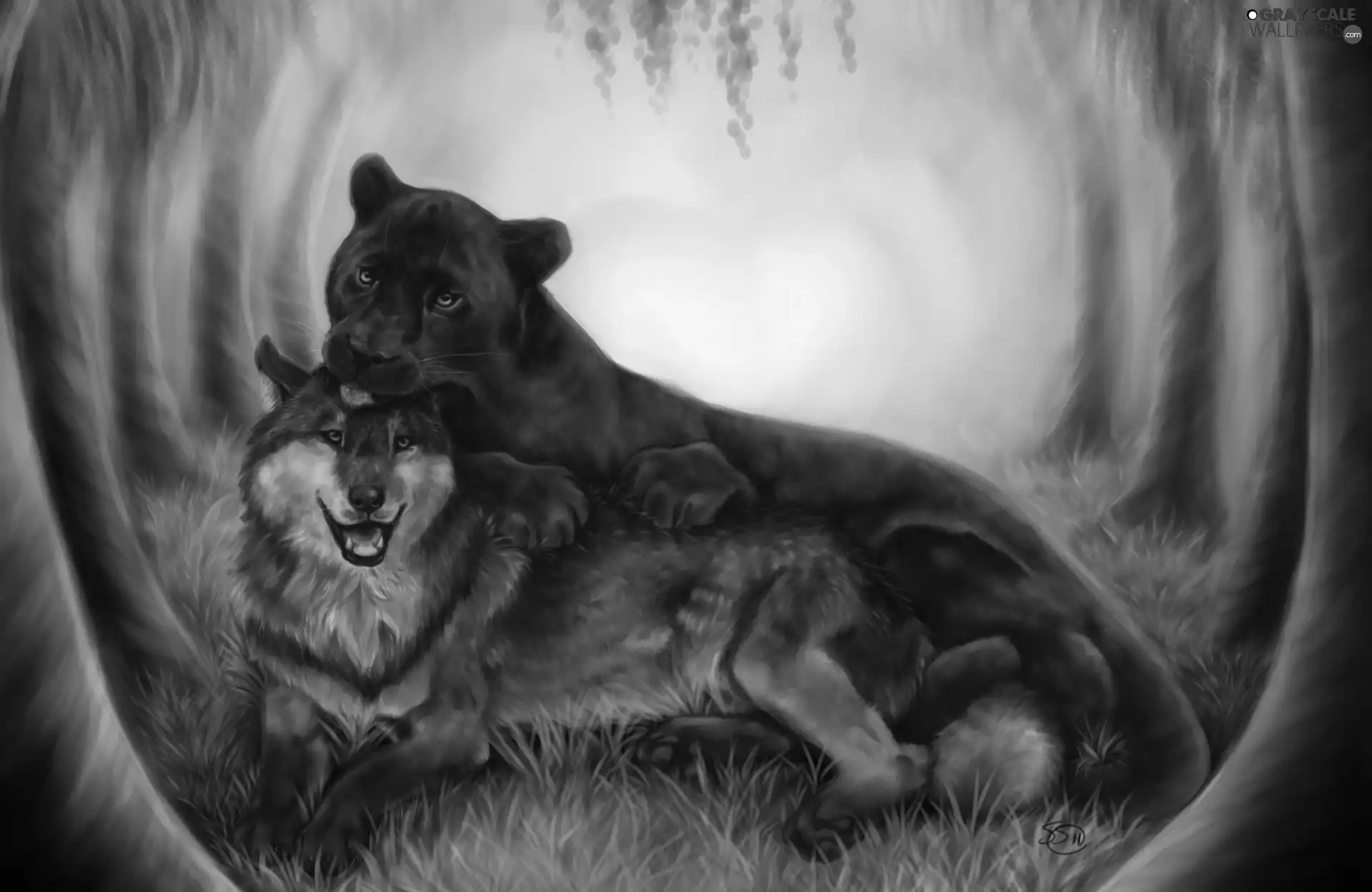 forest, Wolf, Panther