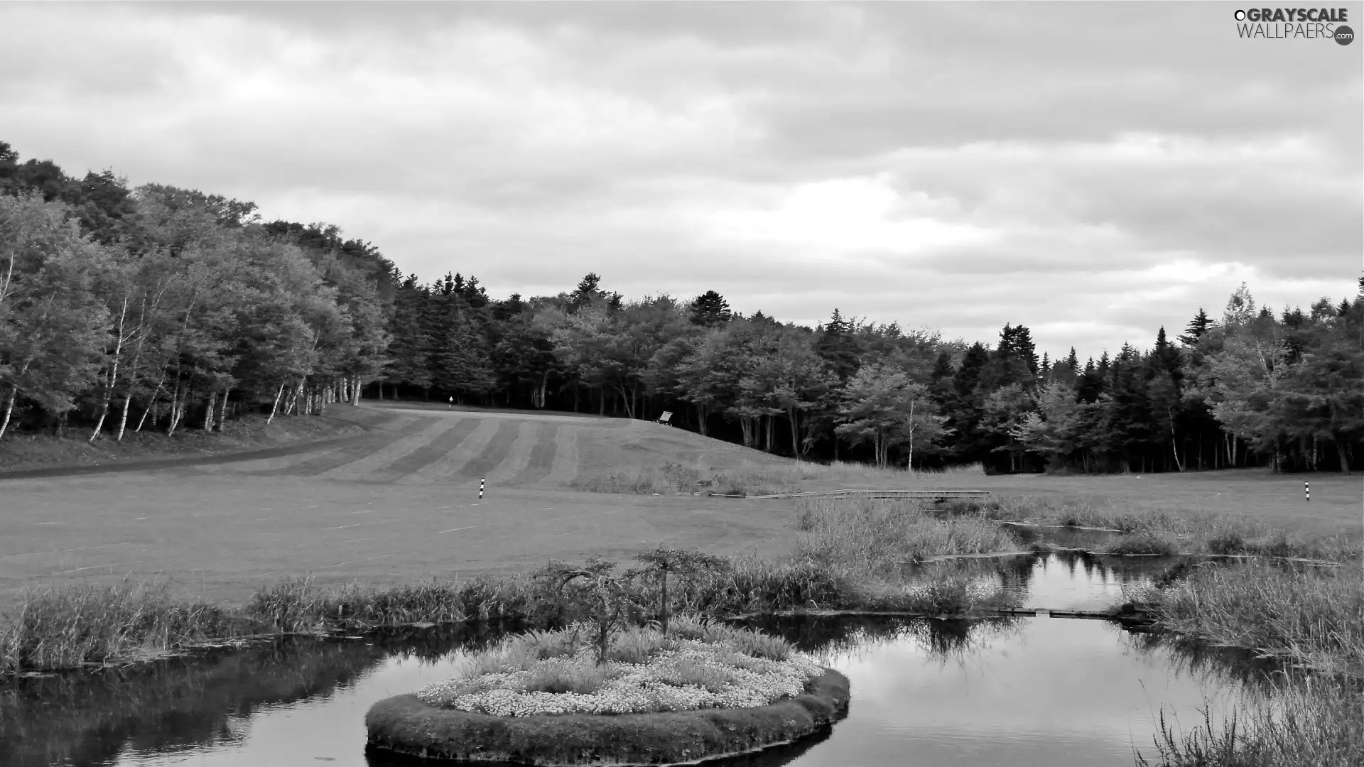 Field, Pond - car, forest, Course