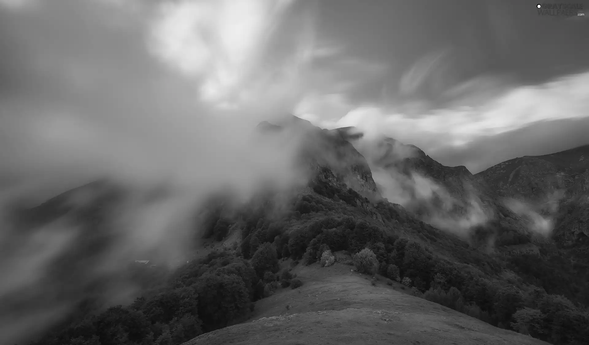 viewes, forest, Fog, trees, Mountains