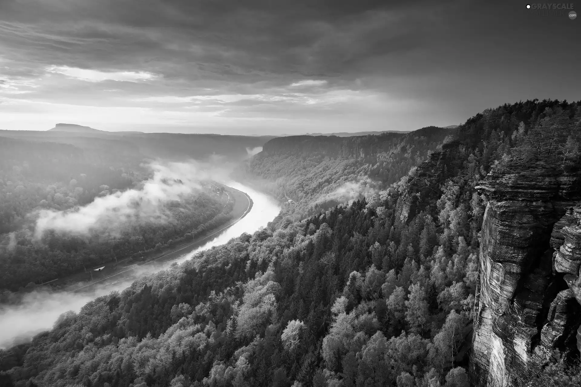 forest, Fog, Mountains, rocks, River