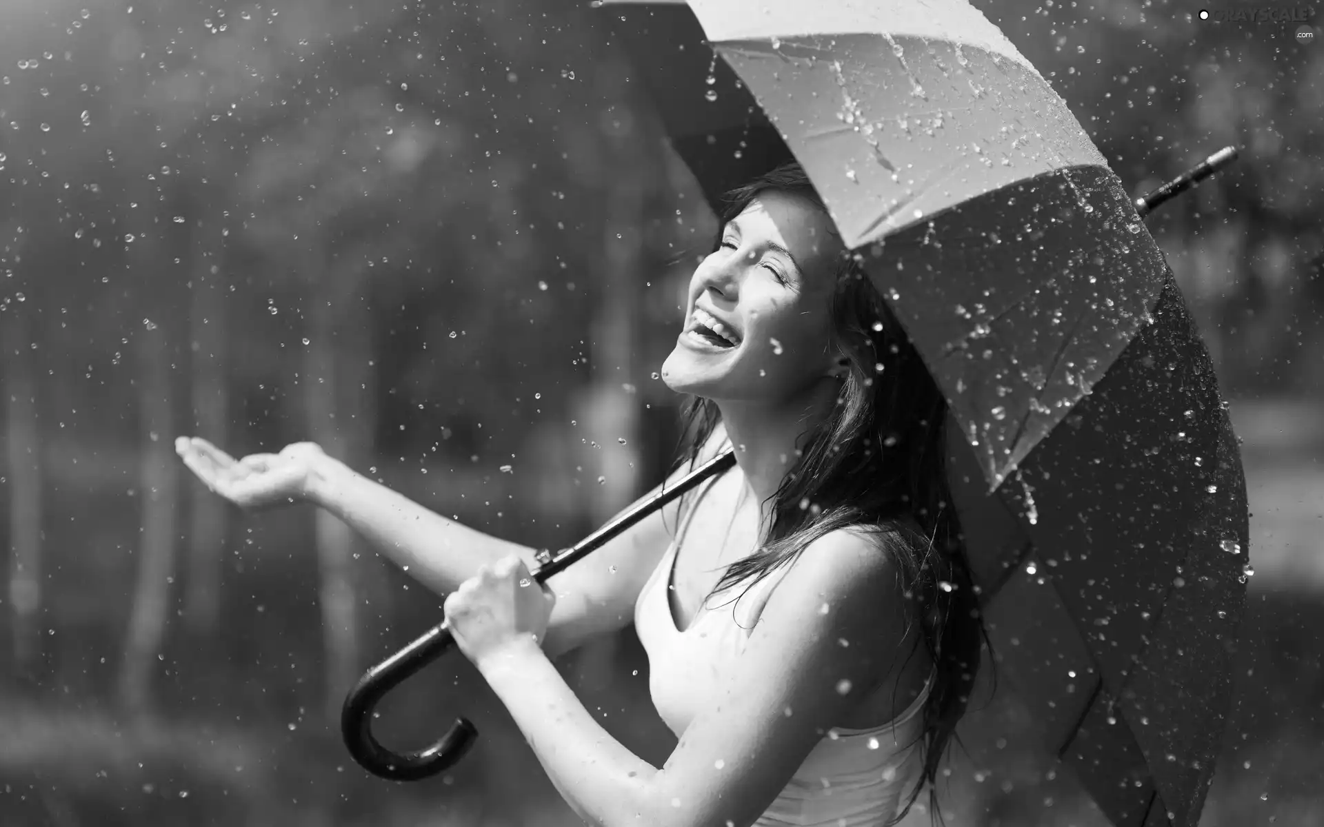girl, Rain, forest, Umbrella