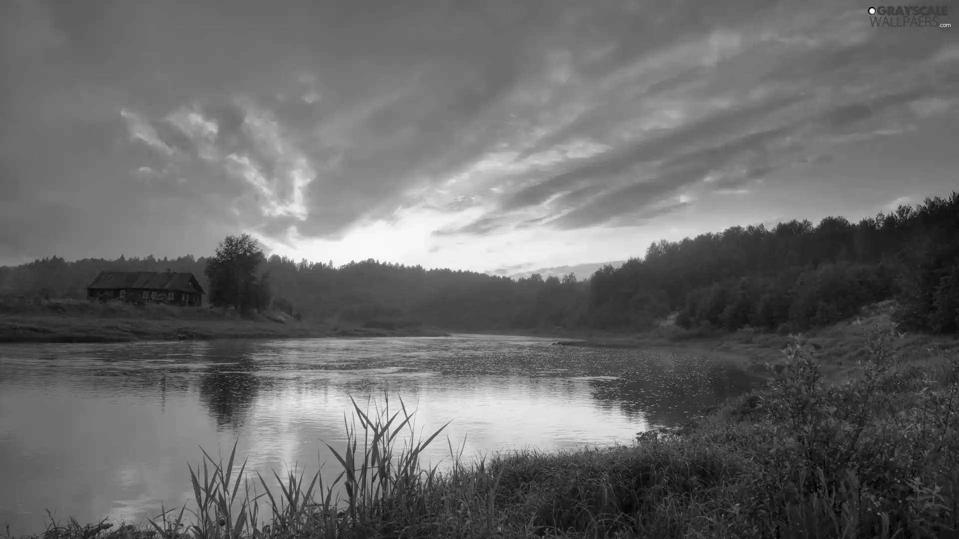 clouds, west, forest, grass, lake, sun