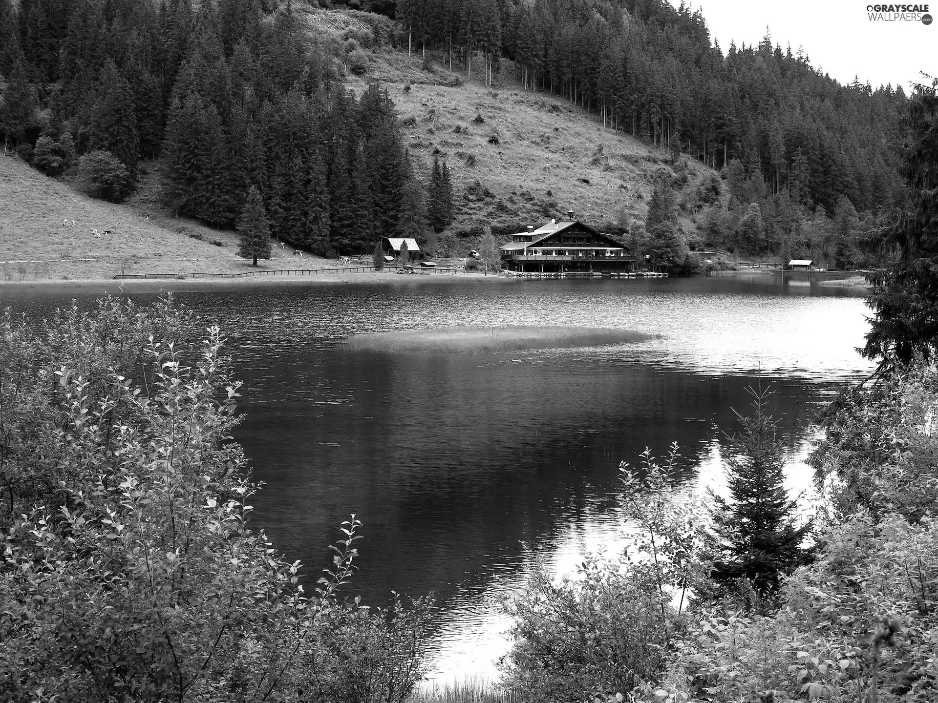 Hotel hall, lake, forest