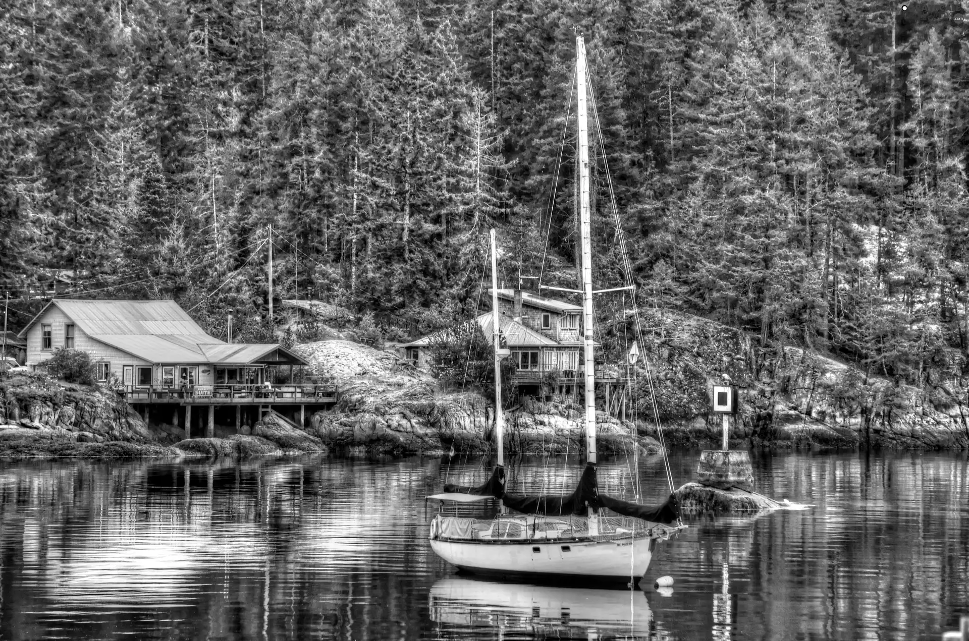 forest, HDR, Yacht, Houses, lake
