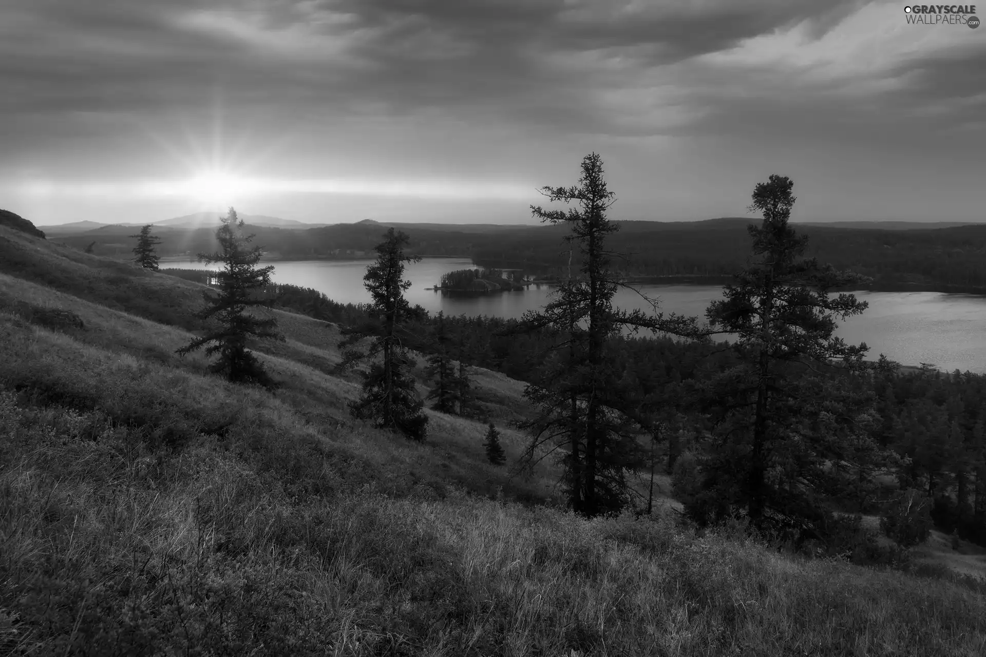 forest, trees, clouds, viewes, Sunrise, The Hills, River, Islet