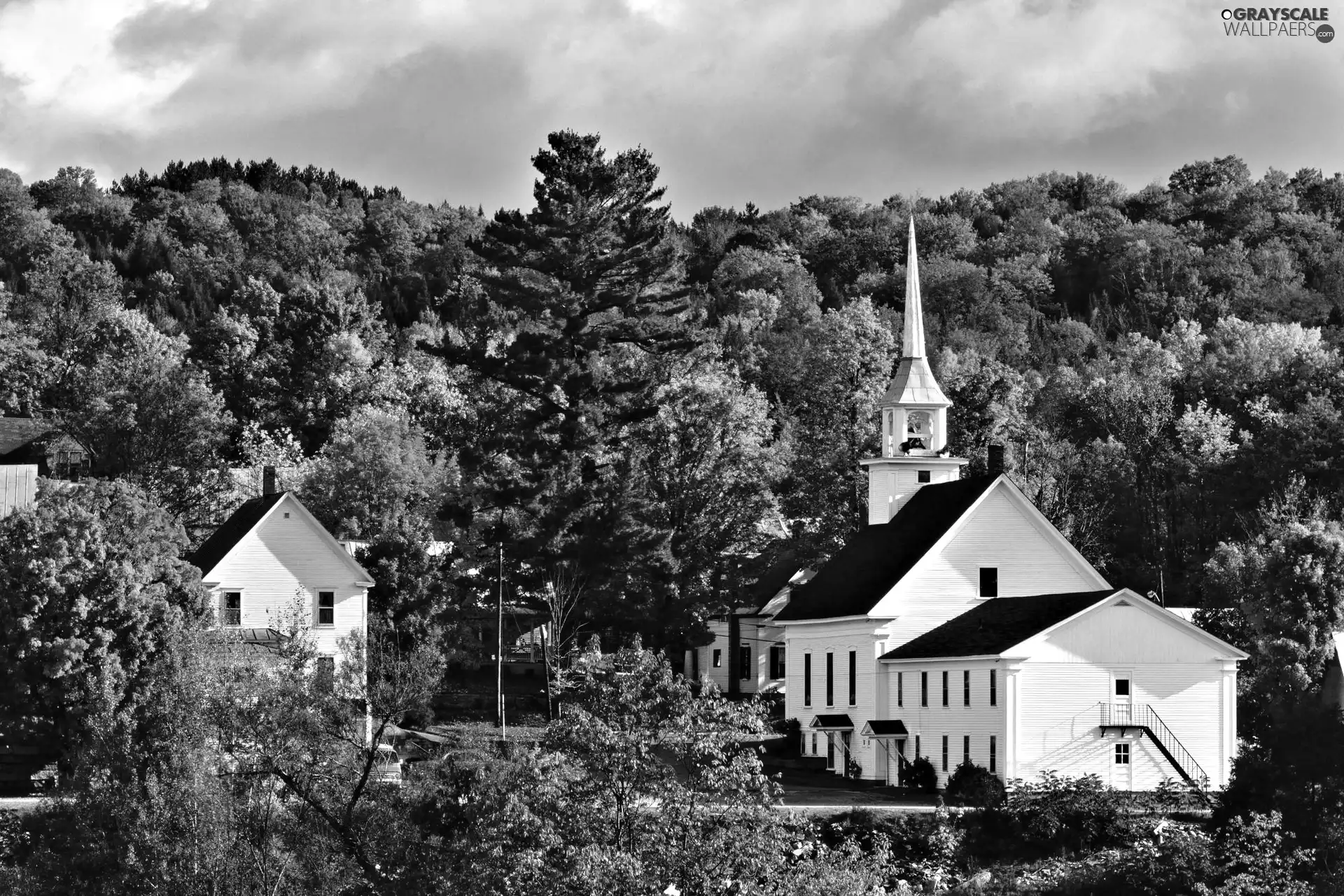 forest, Church, Houses