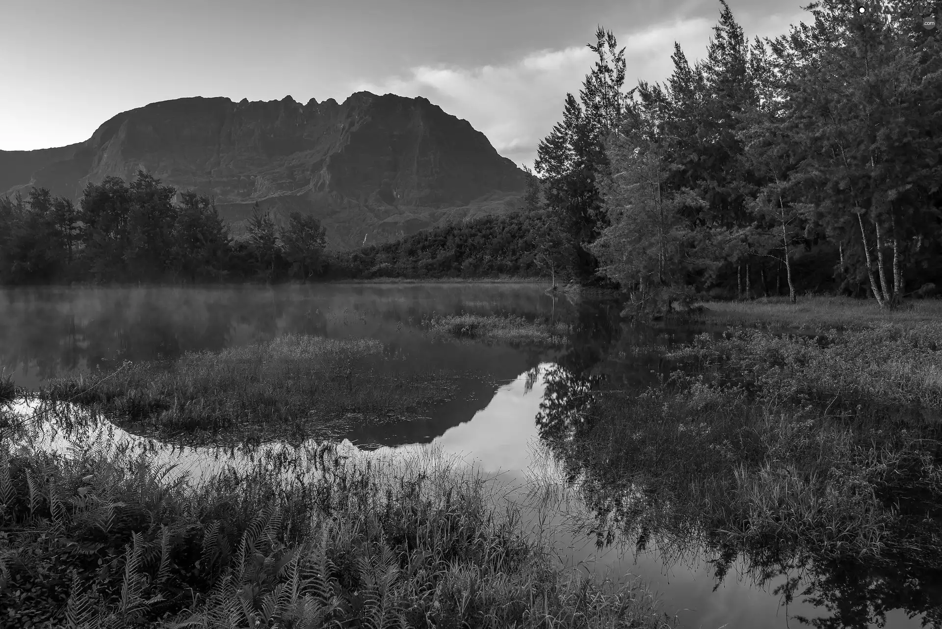 forest, trees, Great Sunsets, viewes, clouds, lake, Mountains, reflection