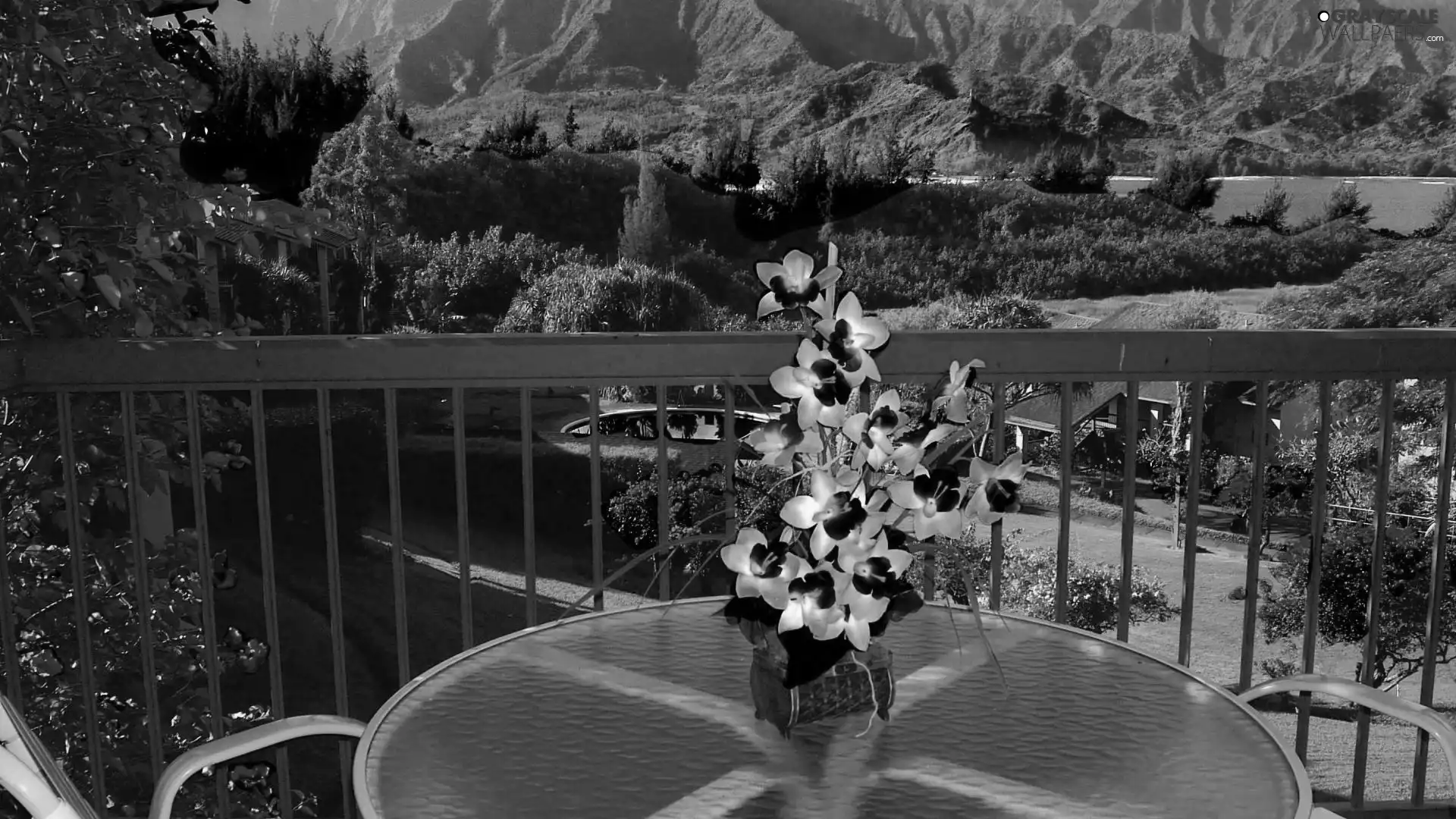 forest, Mountains, Flowers, Aloha State Hawaje, terrace, lake