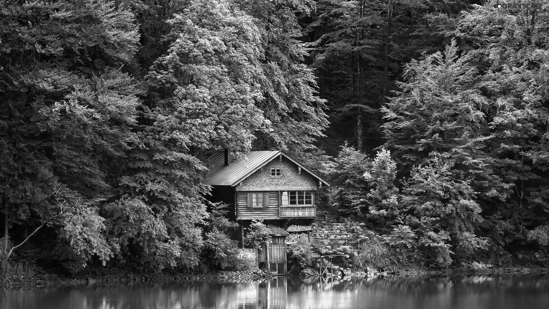 forest, Home, lake