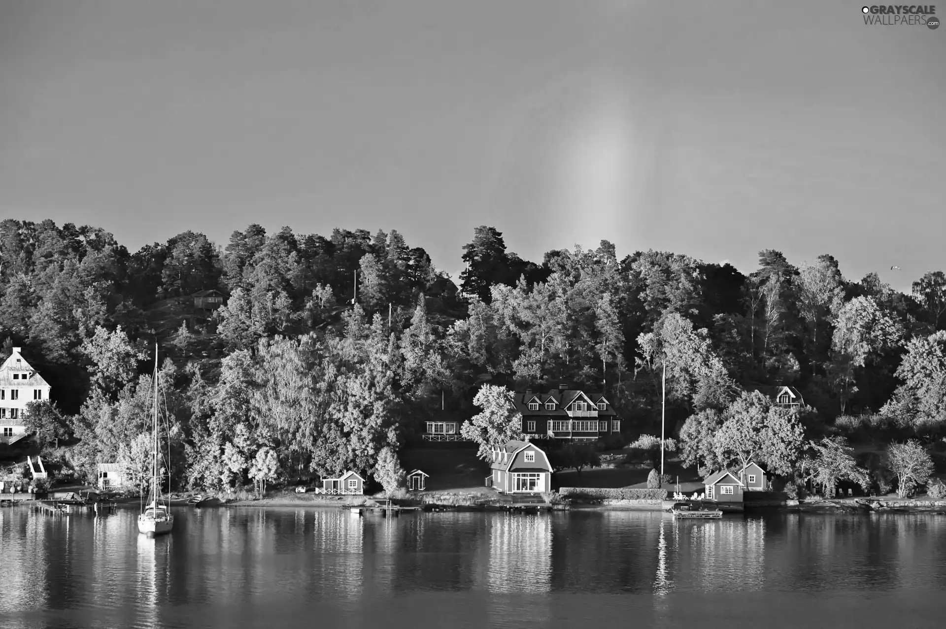 forest, Houses, lake