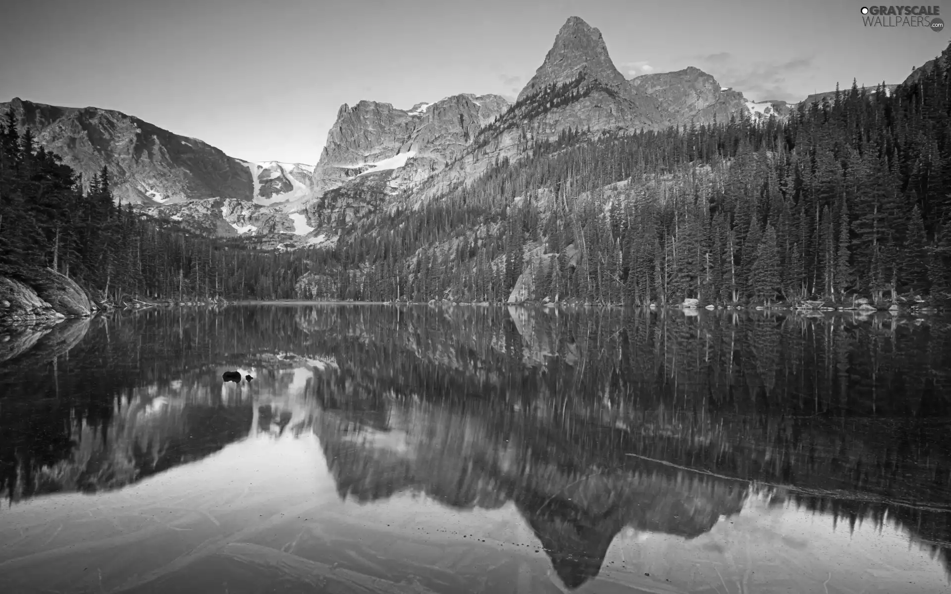 forest, Mountains, lake