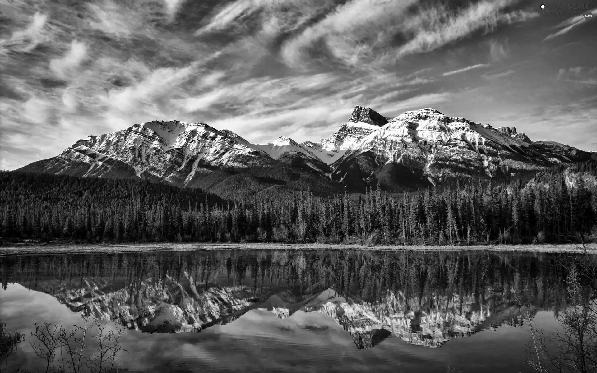 forest, Mountains, lake