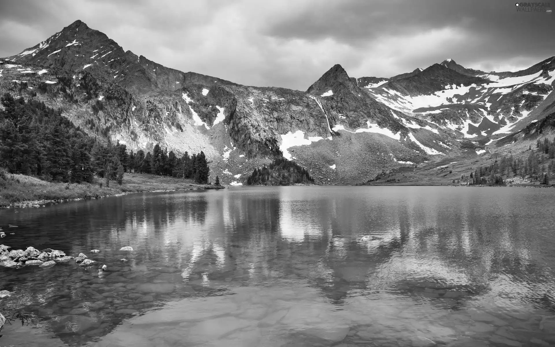 forest, Mountains, lake