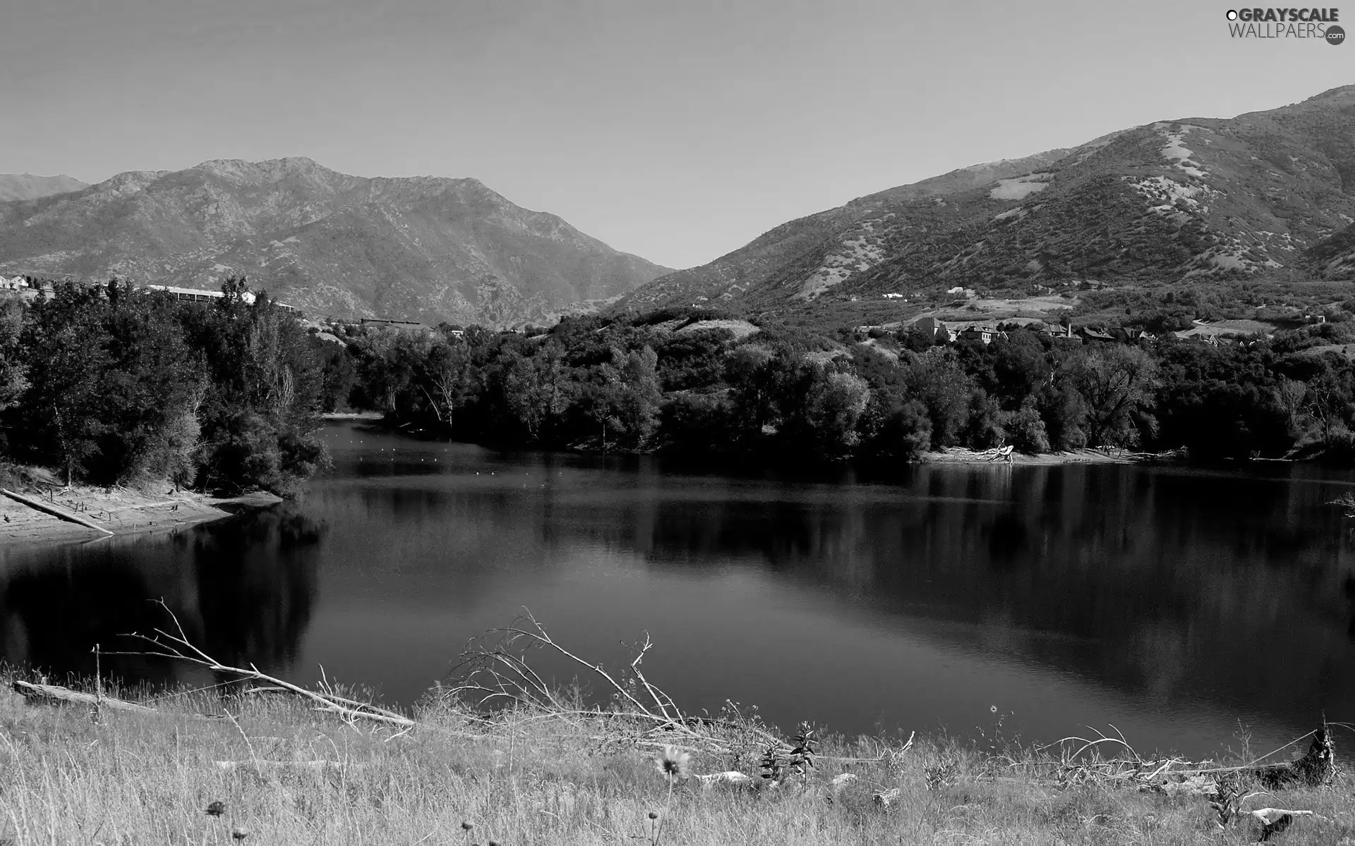 forest, Mountains, lake