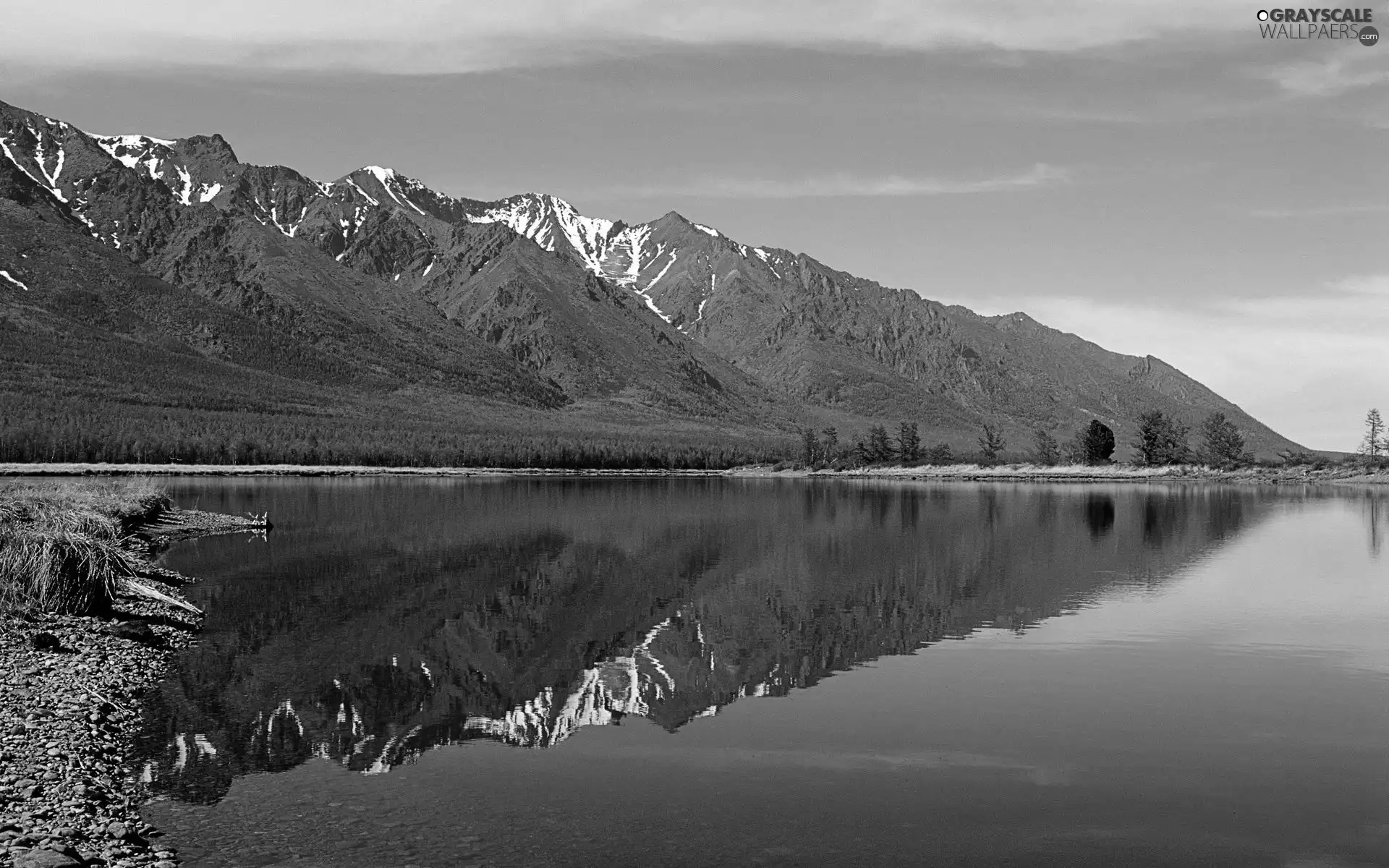 forest, Mountains, lake