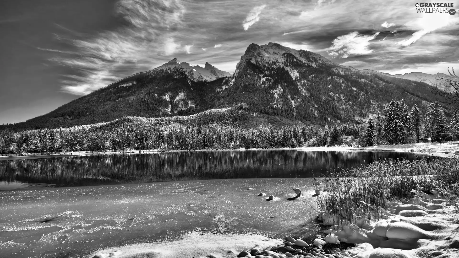 forest, lake, height, snow, Mountains