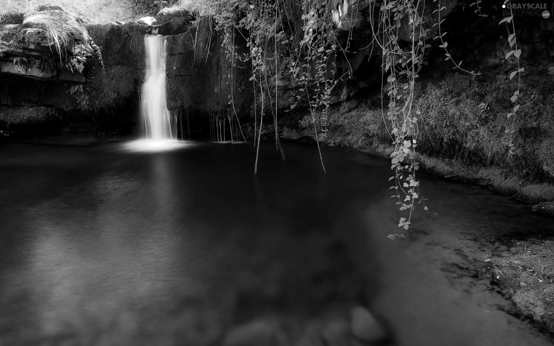 forest, waterfall, lake