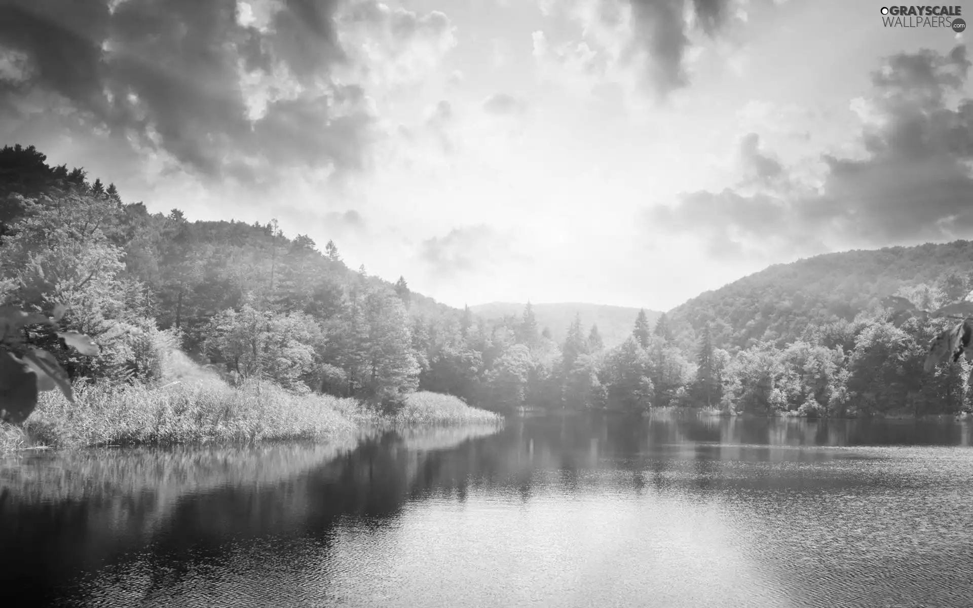 forest, lake, sun, Mountains, west