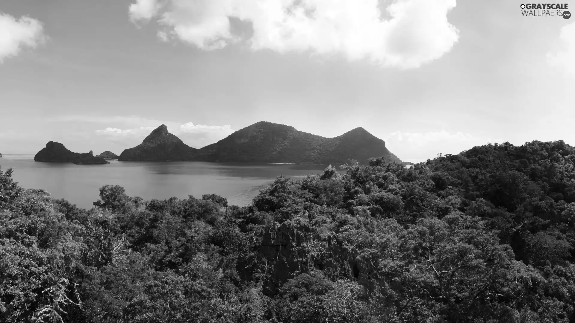 landscape, lake, forest, Mountains