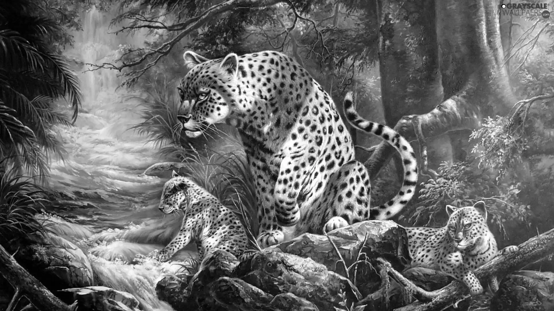 Leopard, water, forest, young