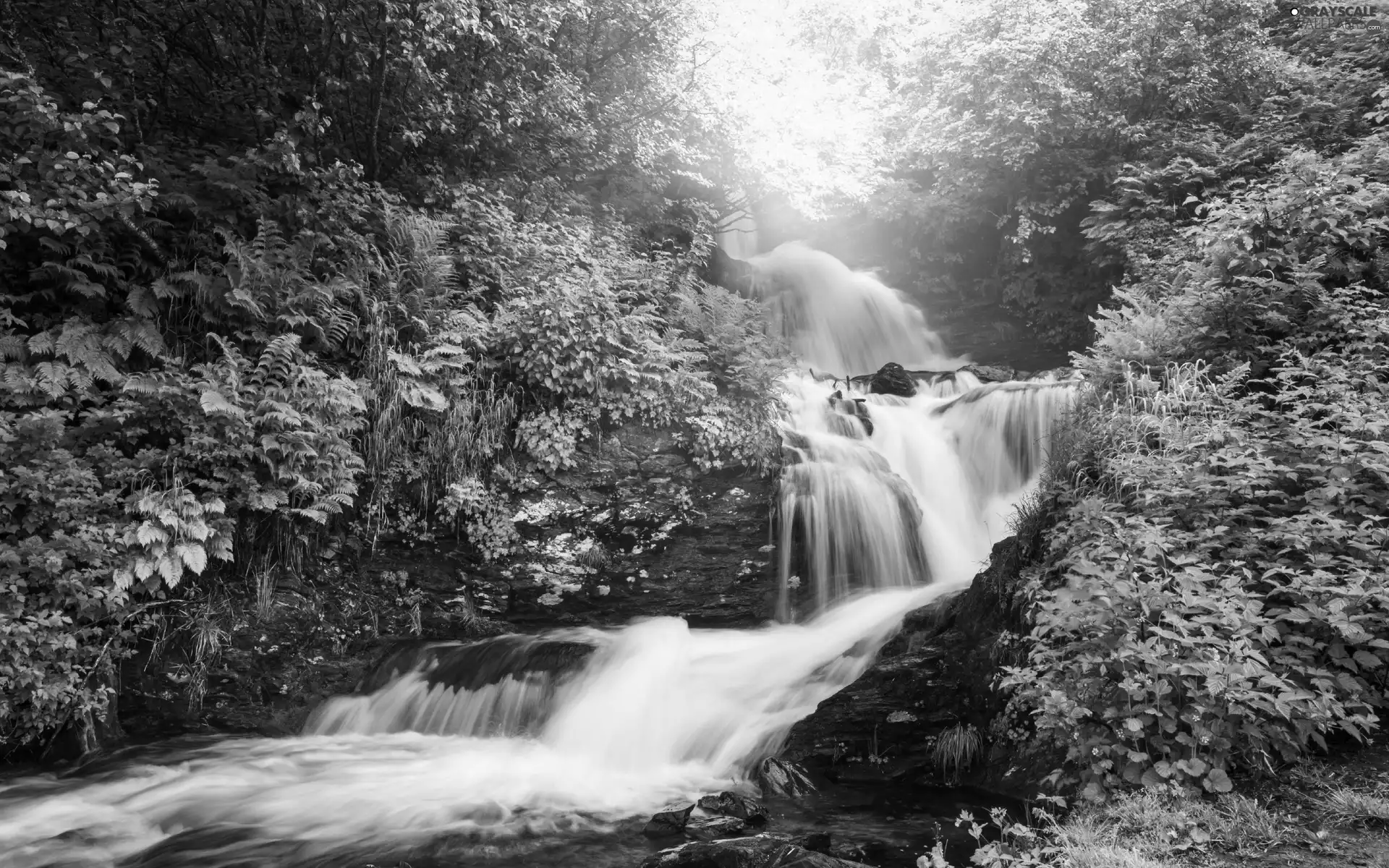 rocks, waterfall, forest, VEGETATION, flash, luminosity, ligh, sun, Przebijające