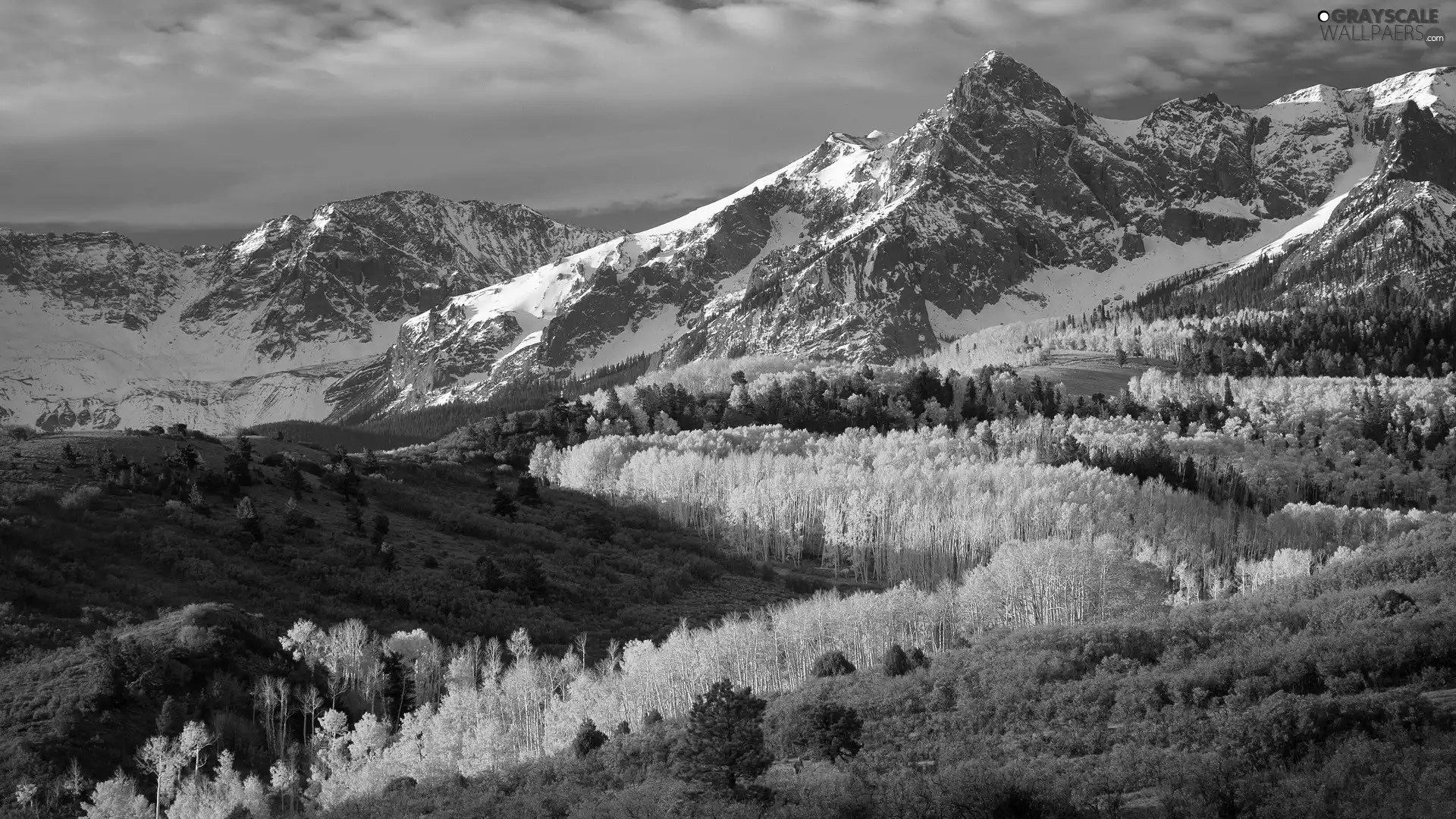 Mountains, forest