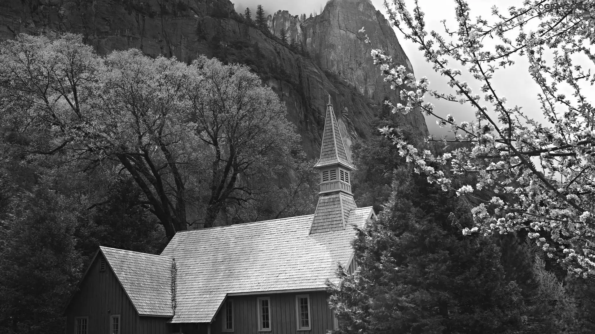 forest, chapel, Mountains