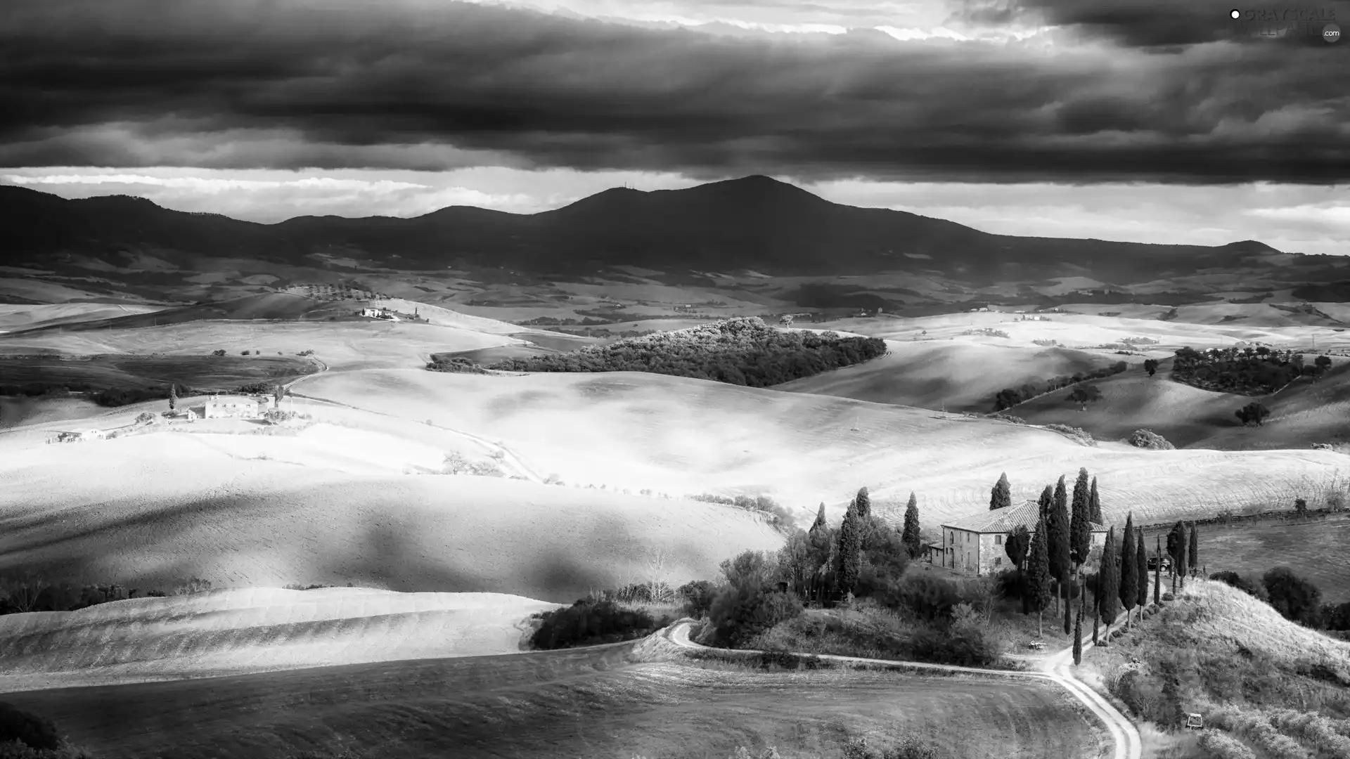 forest, clouds, Mountains