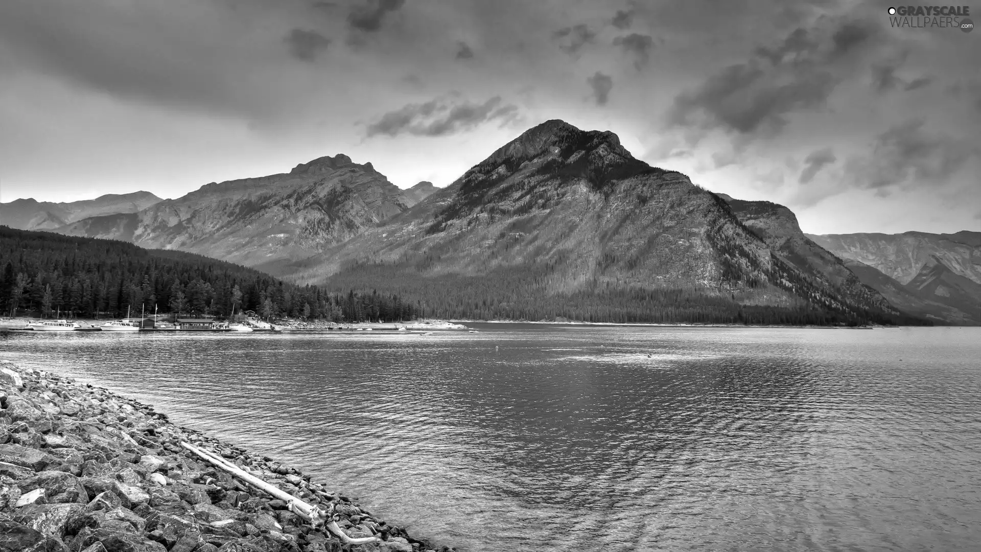 Mountains, Coast, forest, lake