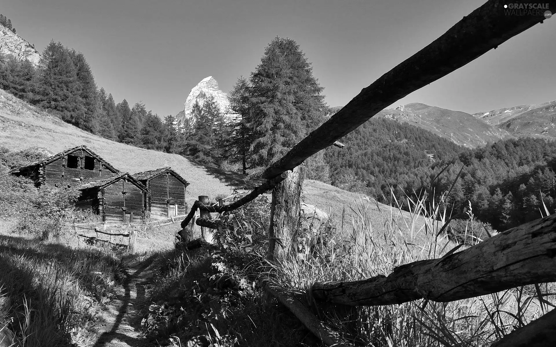 forest, house, Mountains