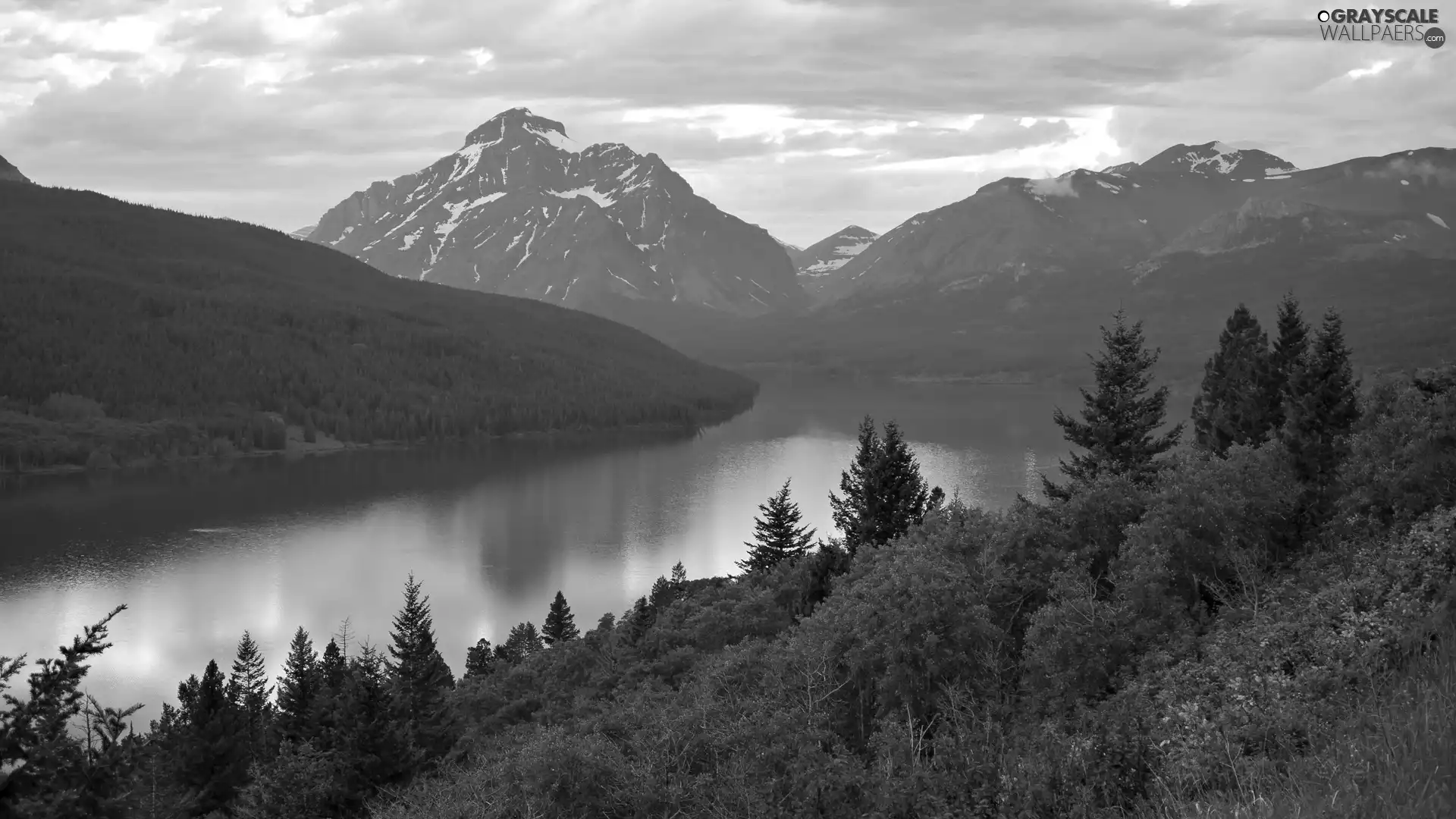 forest, lake, Mountains