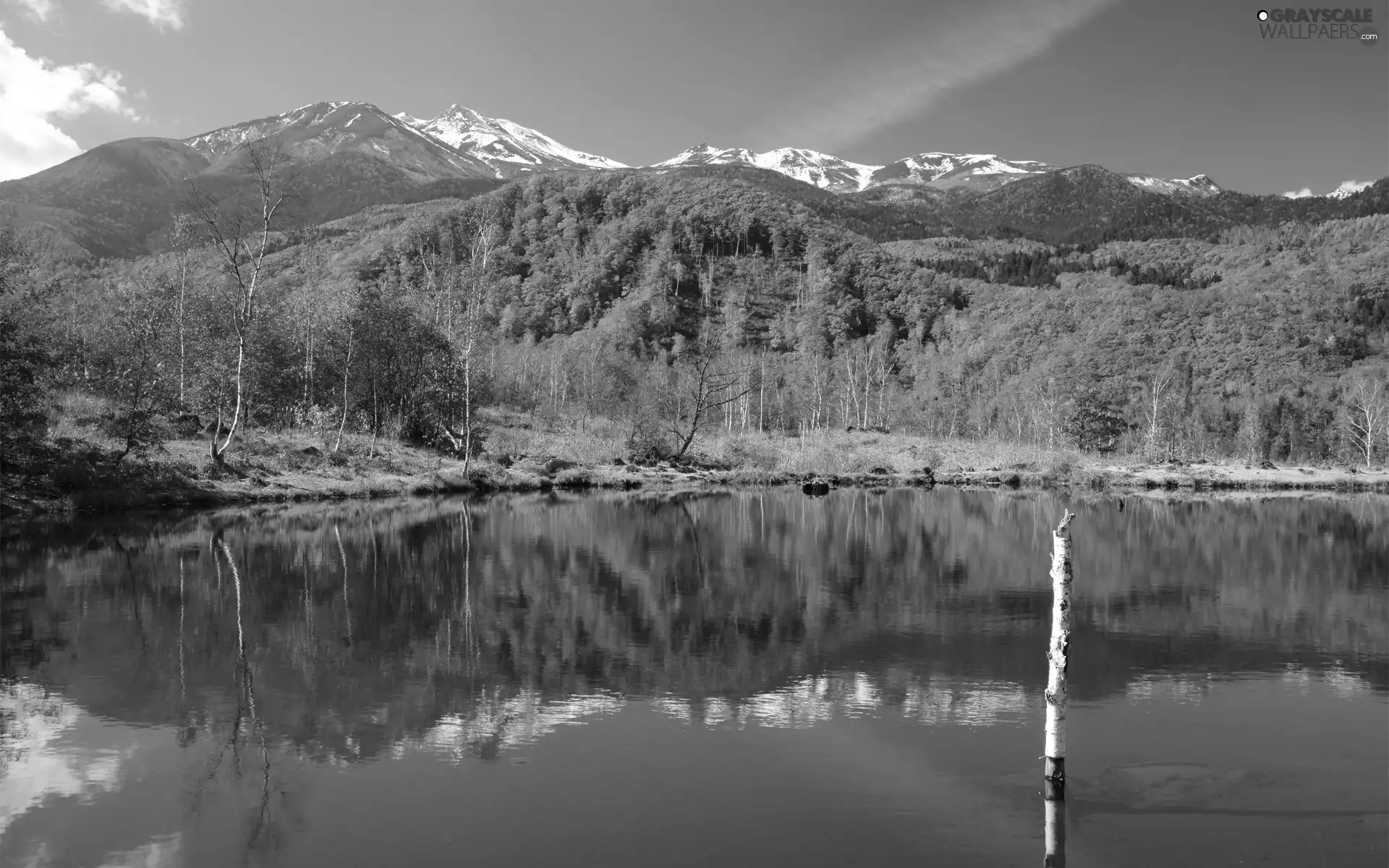 forest, lake, Mountains