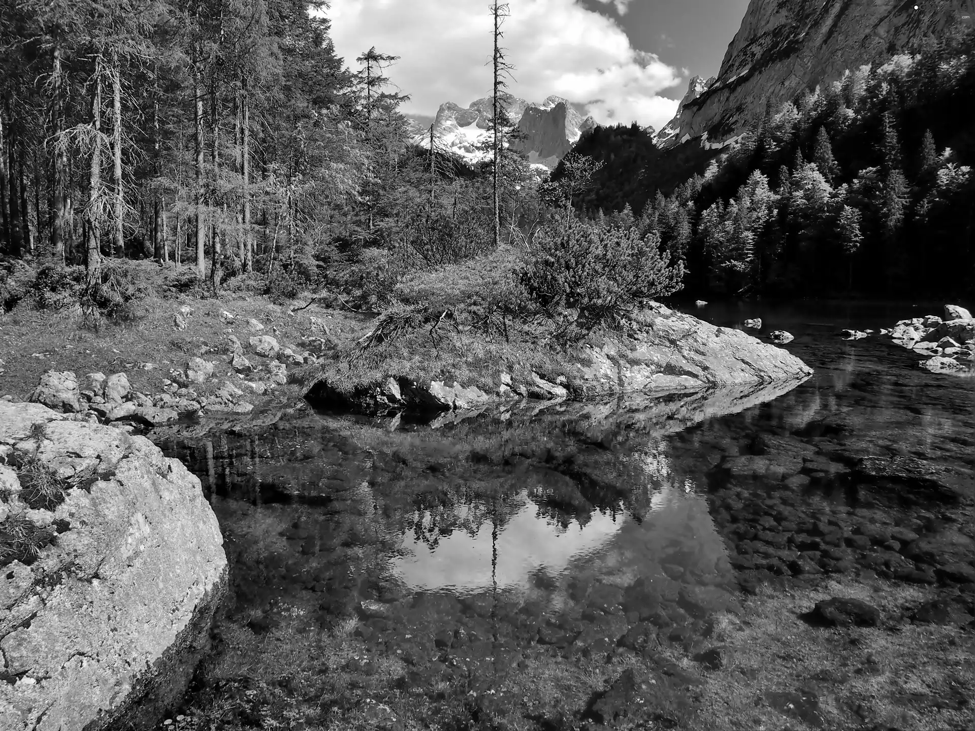 flash, Gosau, Mountains, shadow, ligh, lake, forest, reflection, luminosity, sun