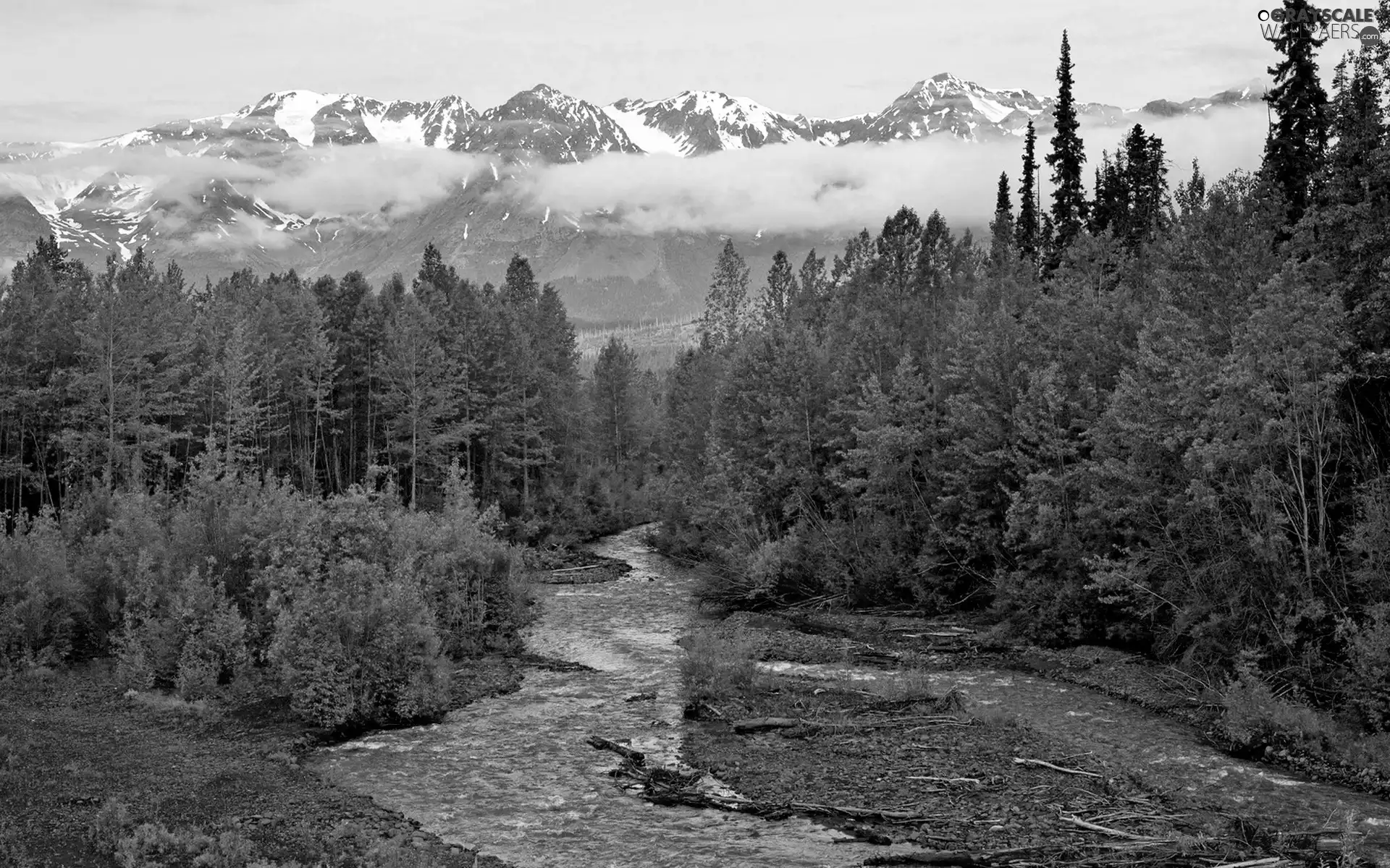 forest, River, Mountains