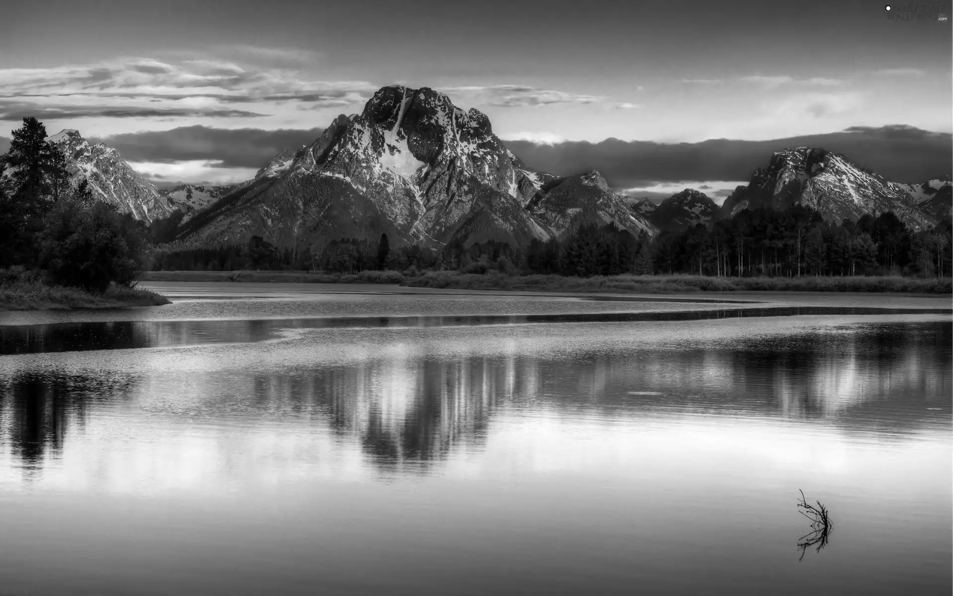 forest, River, Mountains