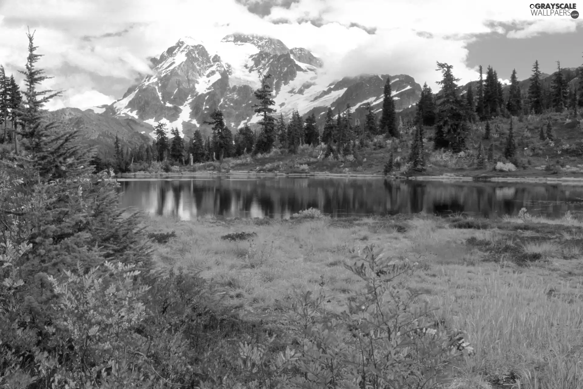 forest, River, Mountains