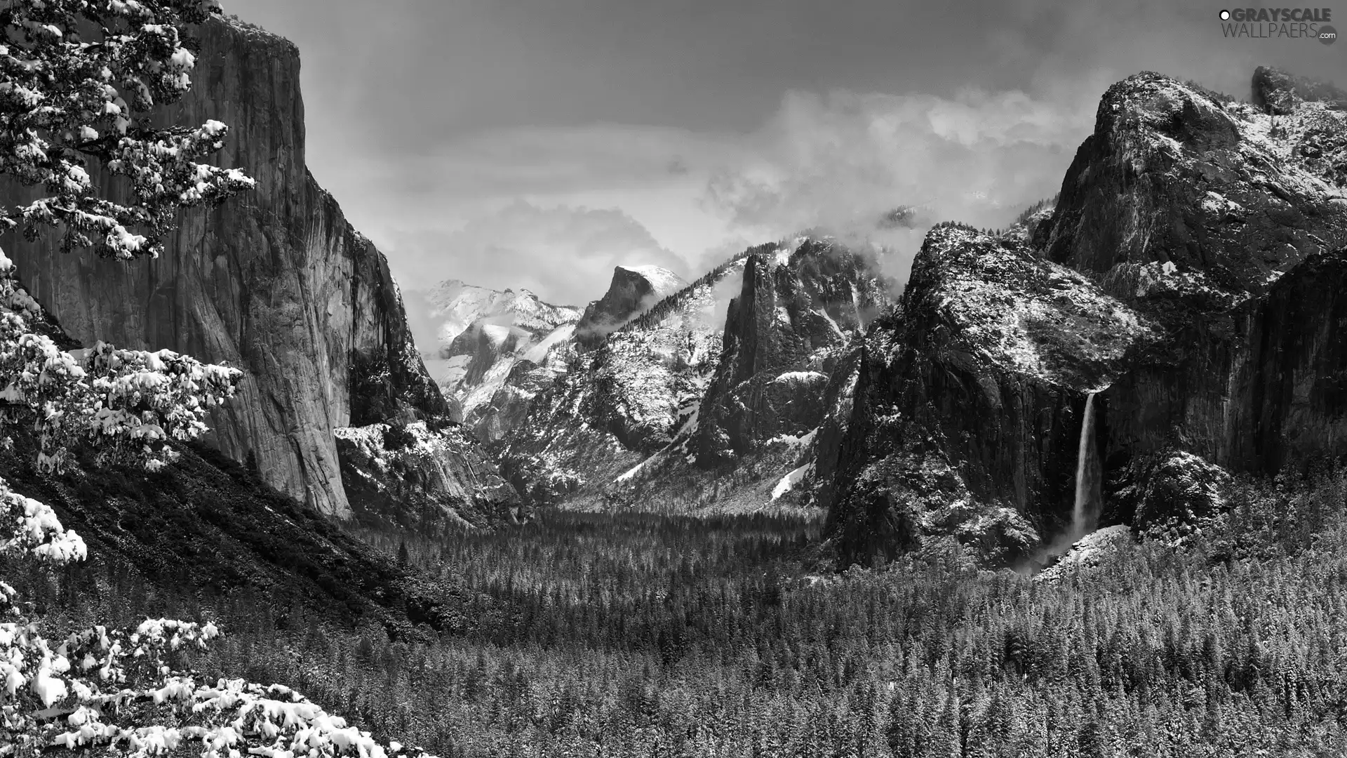 Mountains, snow, forest, height