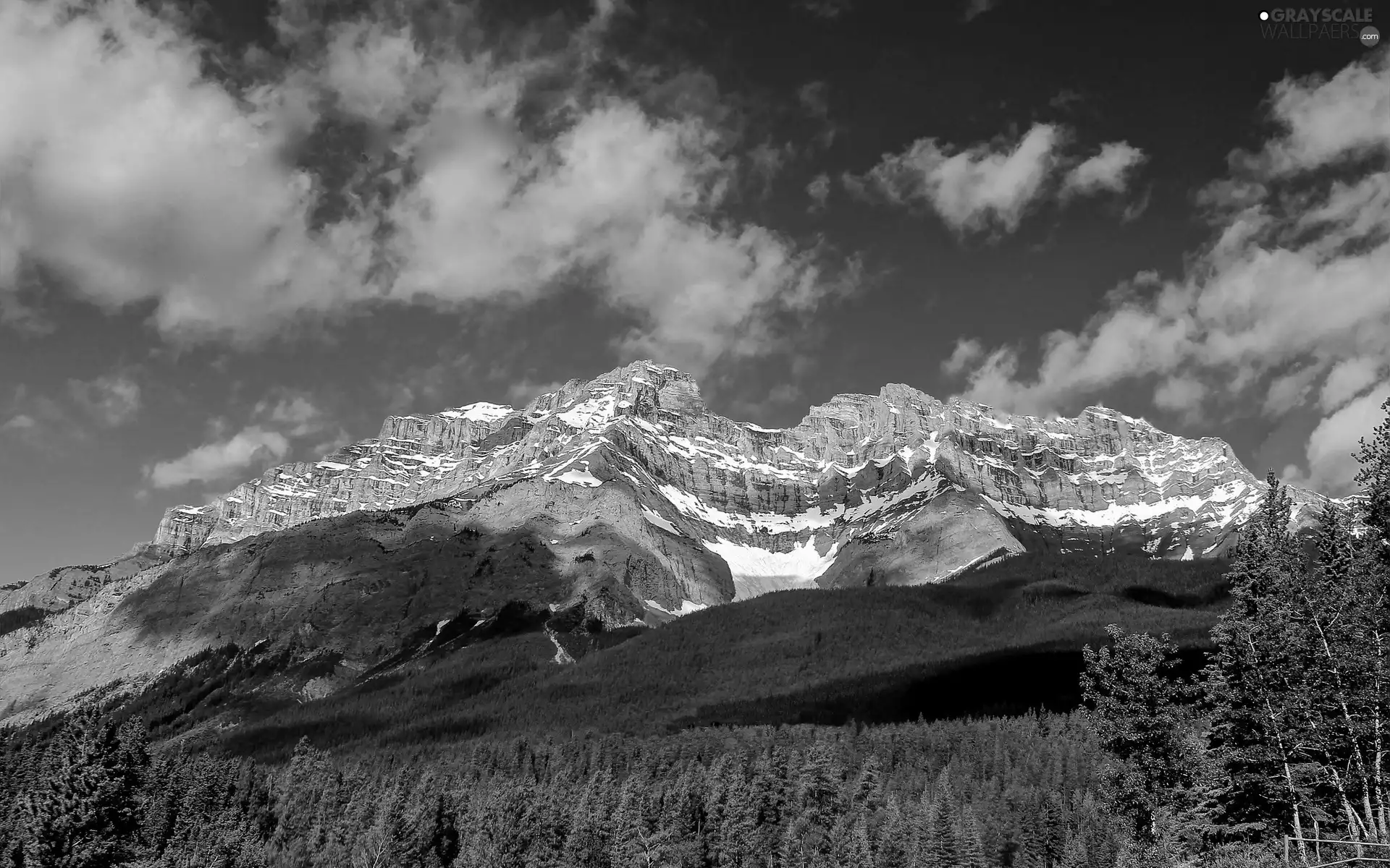 Mountains, forest