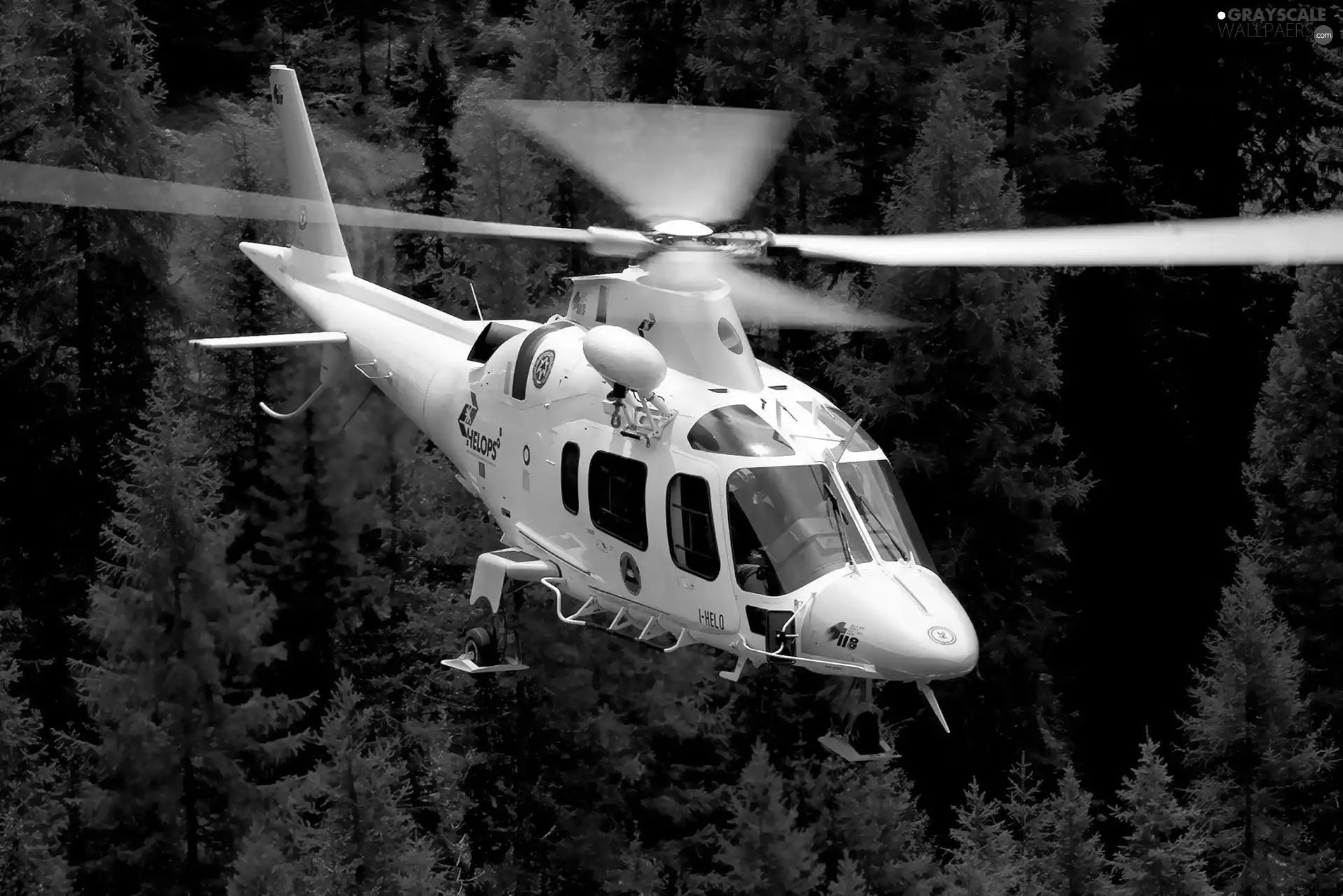 forest, Patrol, Westland, AW-109, Augusta