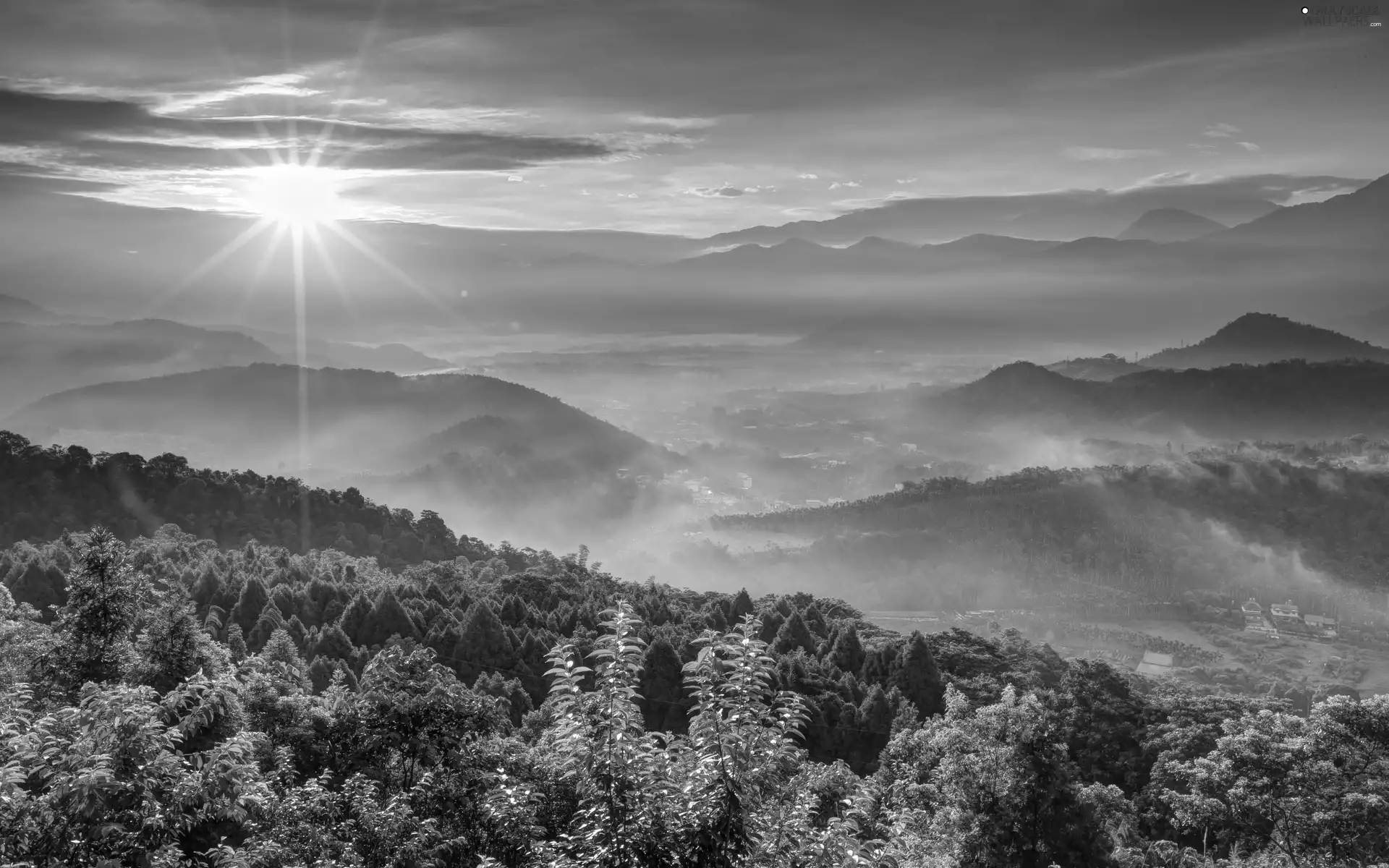 rays, Mountains, forest, sun