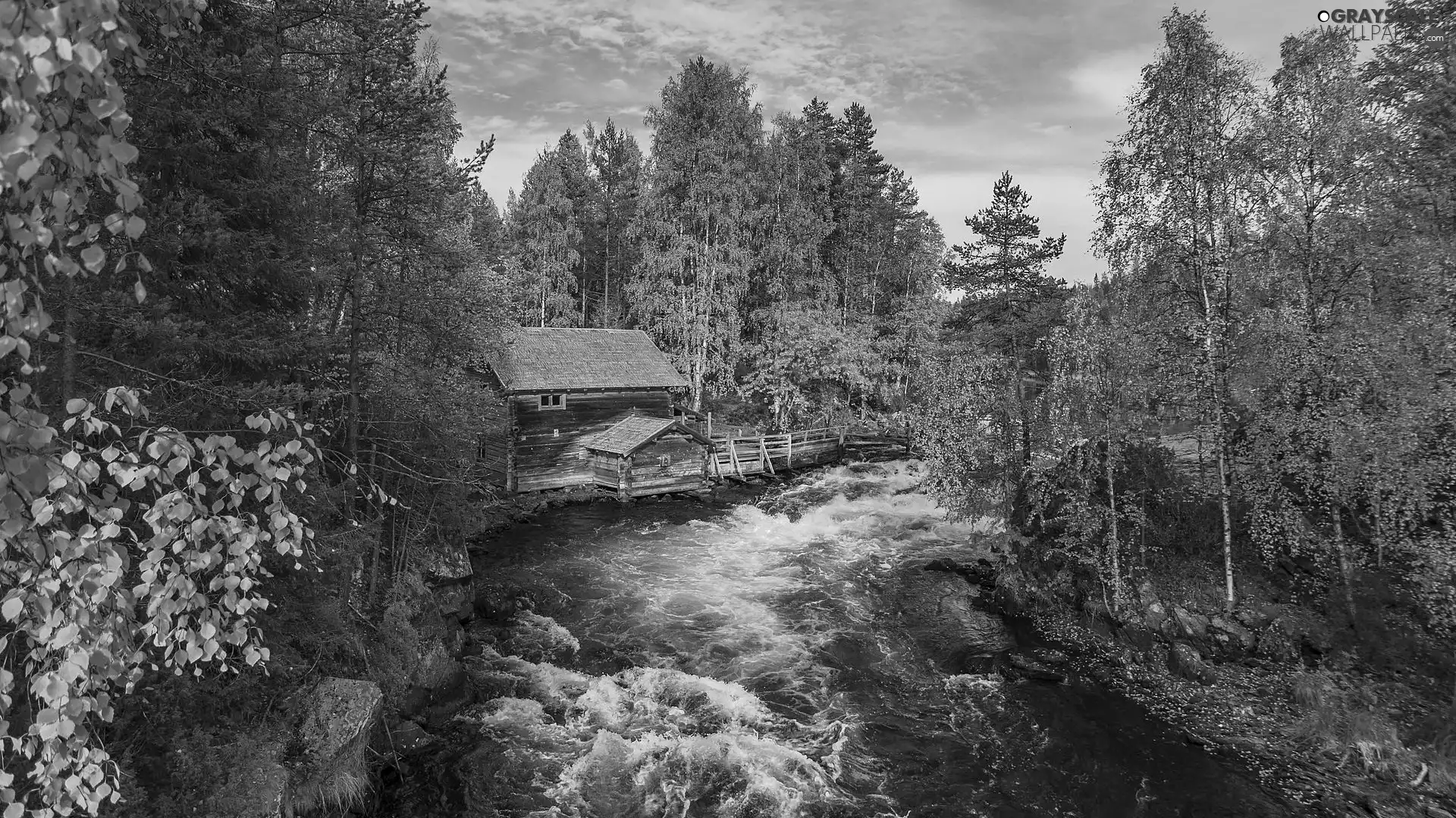 Oulanka National Park, trees, River, Lapland, Myllykoski Mill, forest, viewes, Finland, Kuusamo Municipality, autumn